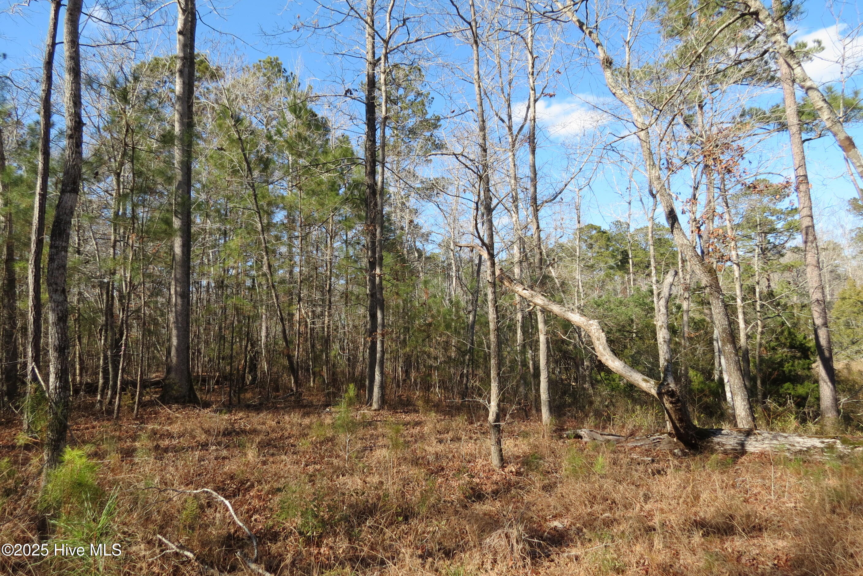 109 Winding Creek Drive, Oriental, NC, 28571