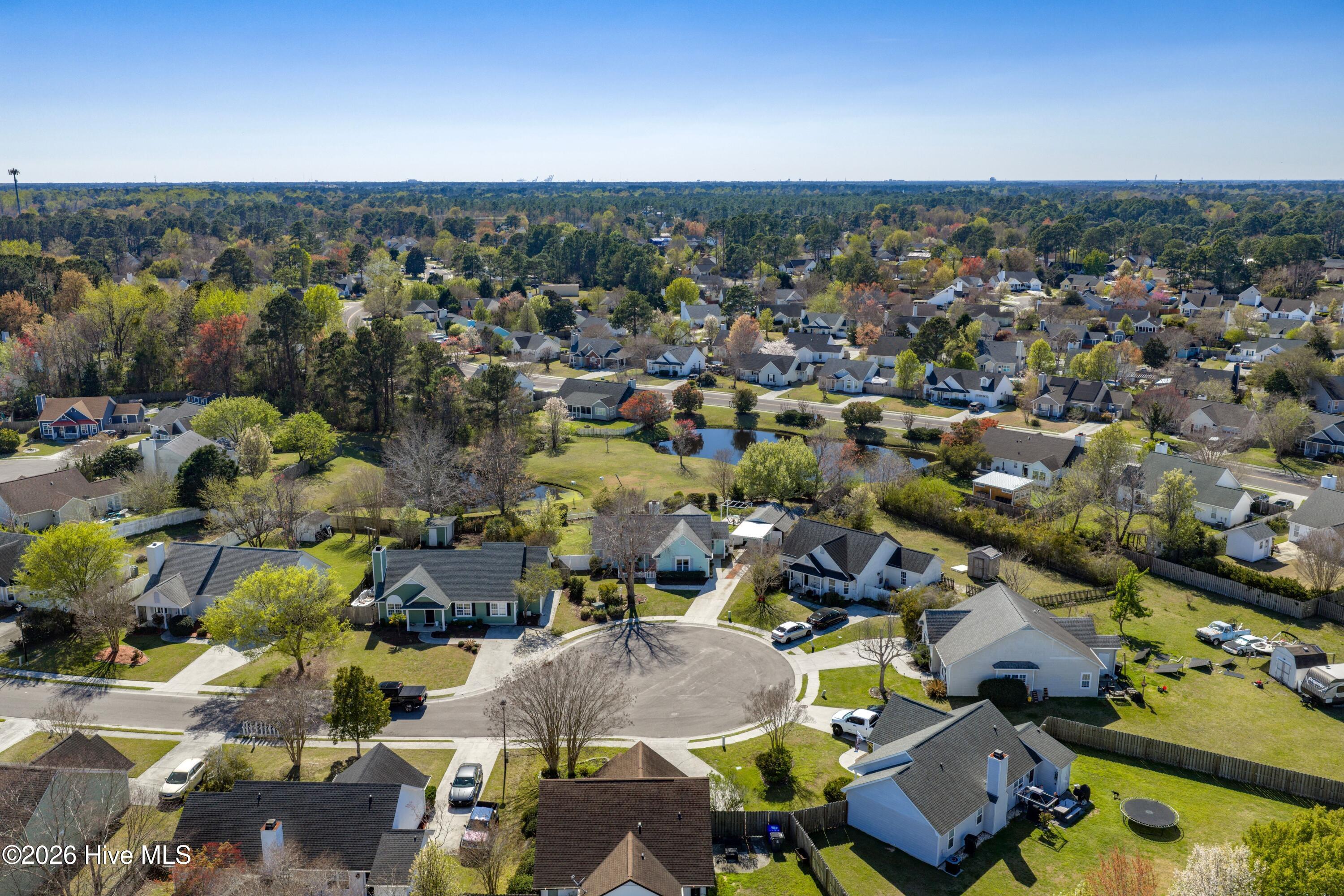 100562291 | Photo 31