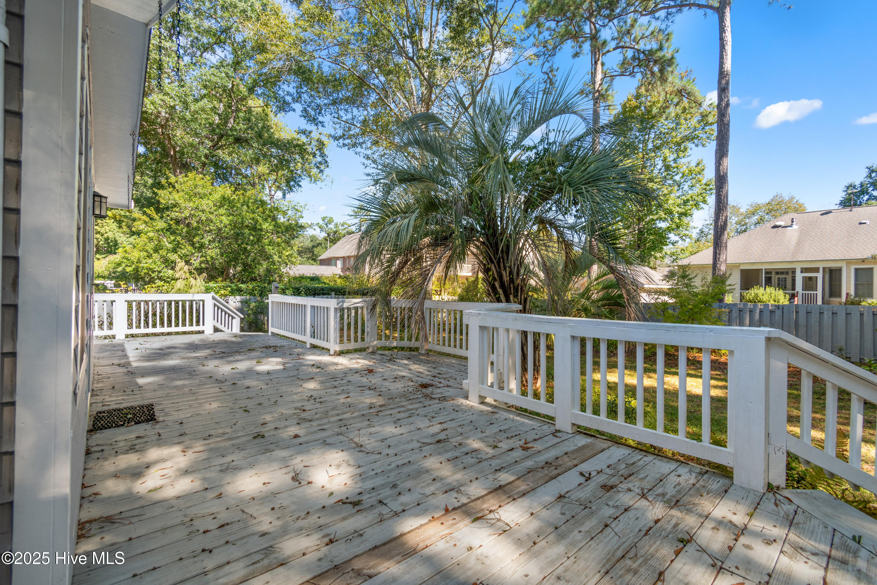 100537451 | Photo 19