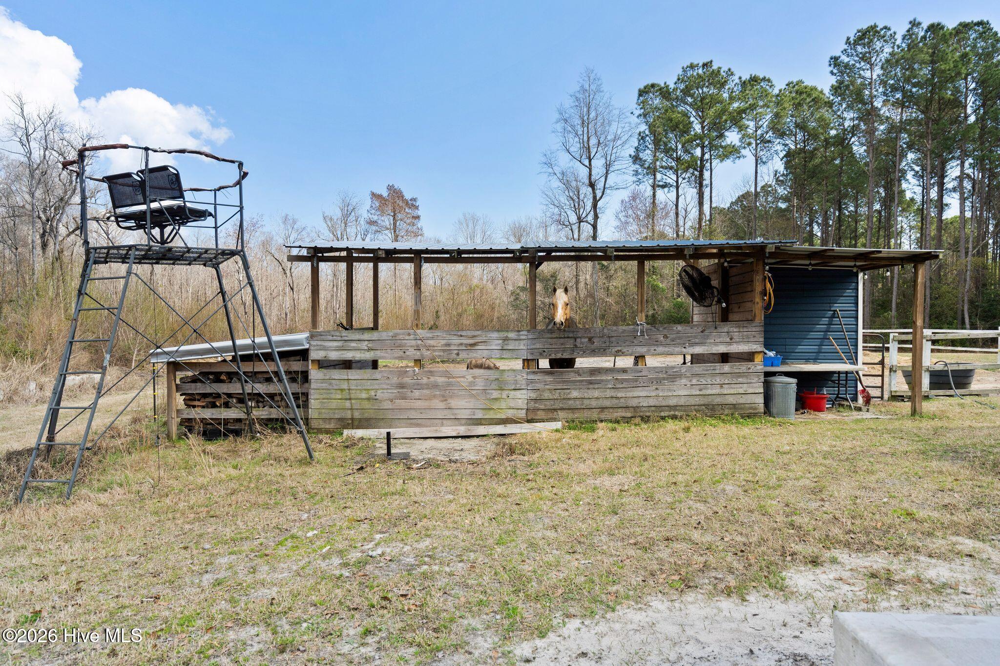 100559666 | Photo 106