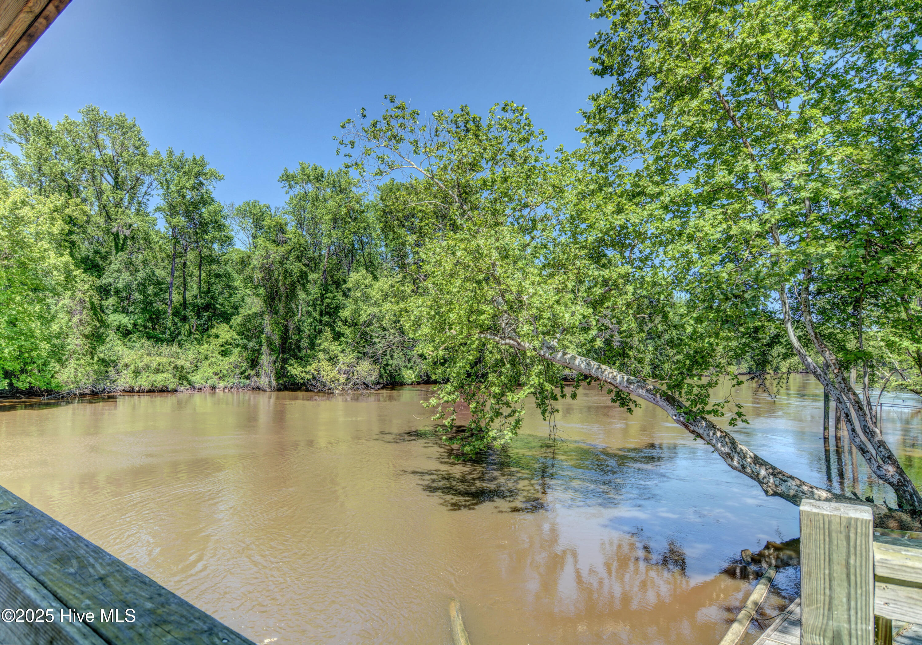 100531256 | Photo 59