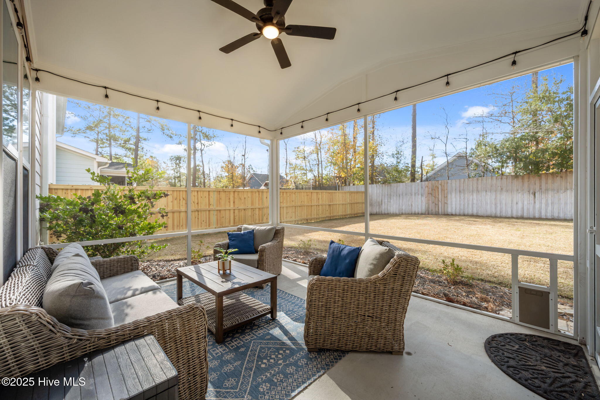 100545524 | Photo 39