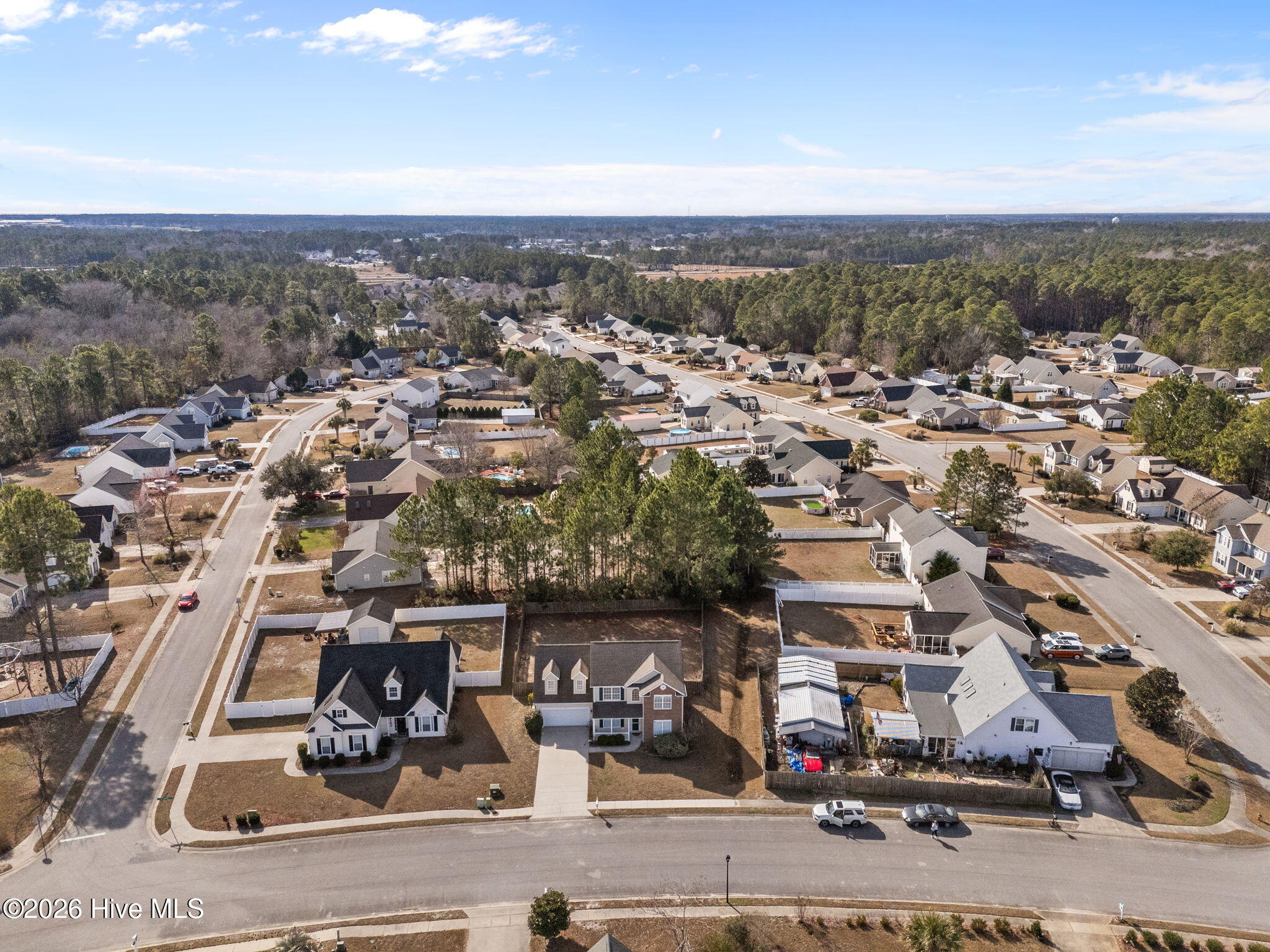 100549557 | Photo 48