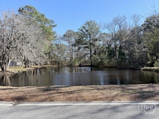 138-140 Dogwood Lane, Midway, GA, 31320