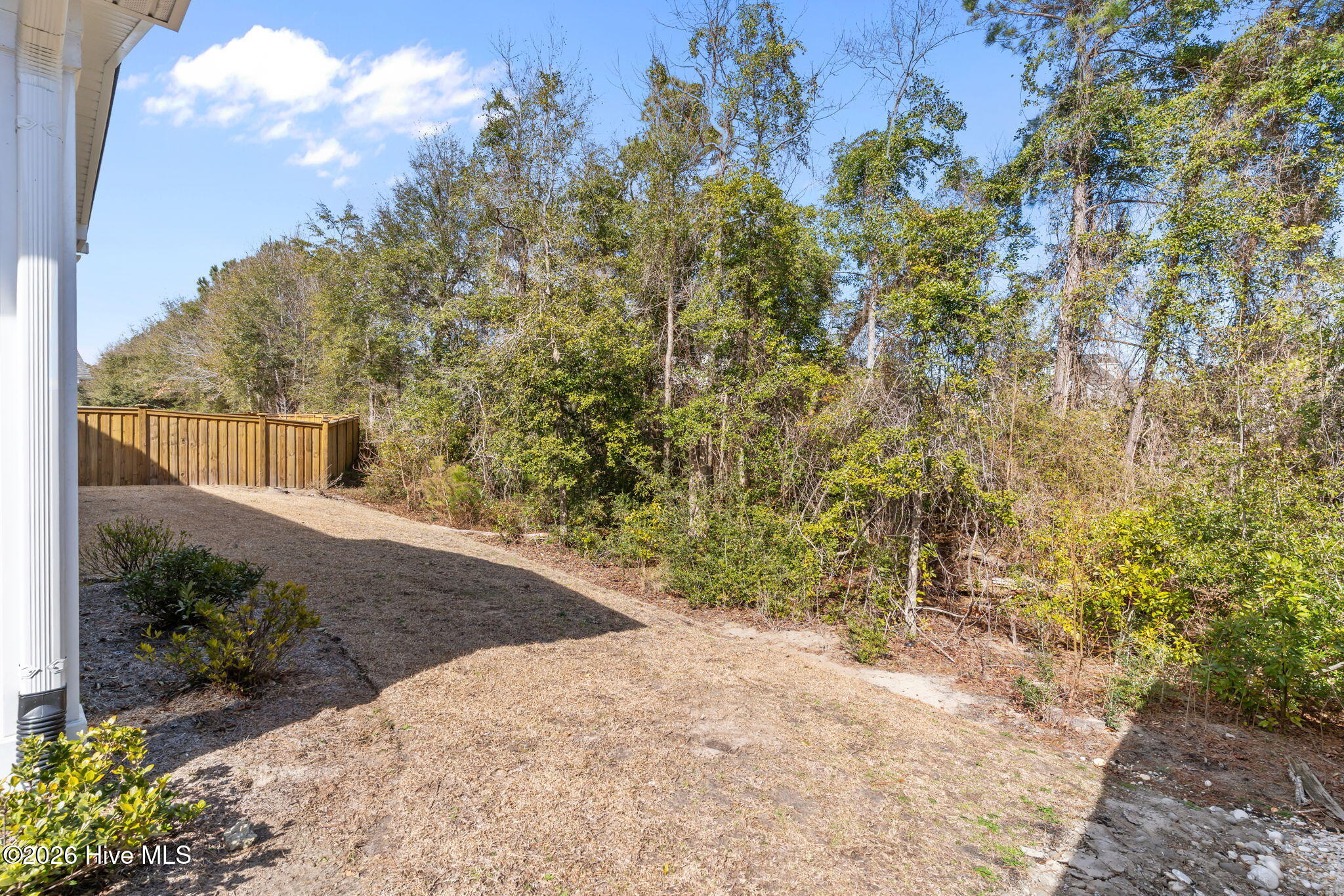 100555424 | Photo 49