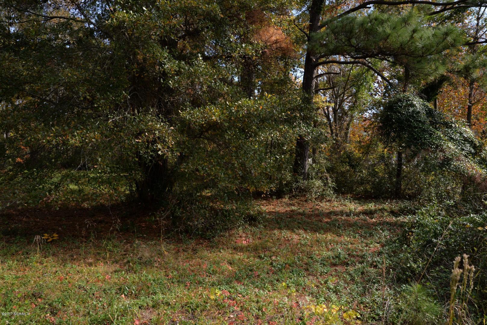 100492321 | Photo 10