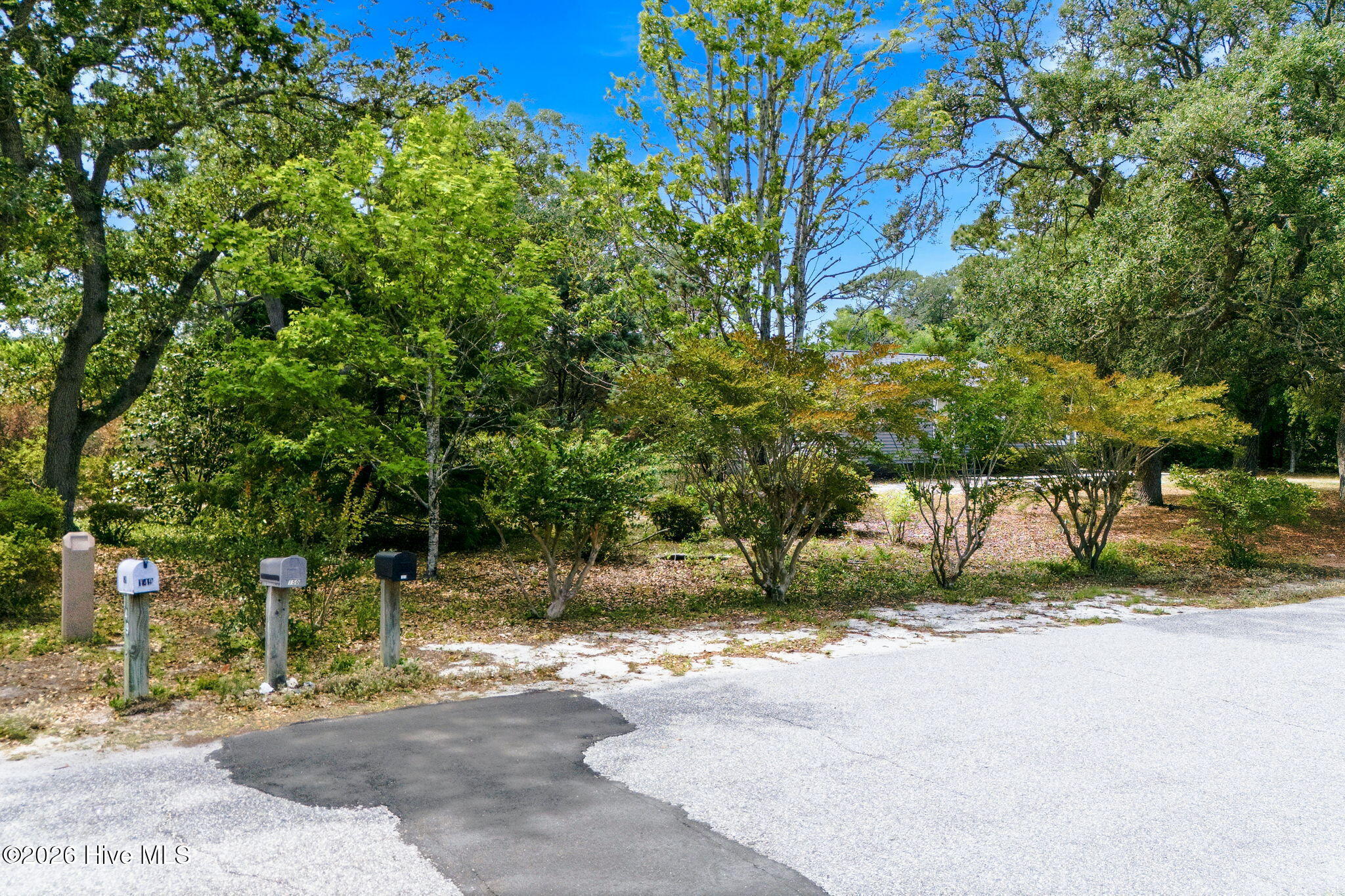 Shirley Johnson - MLS Number: 100566902