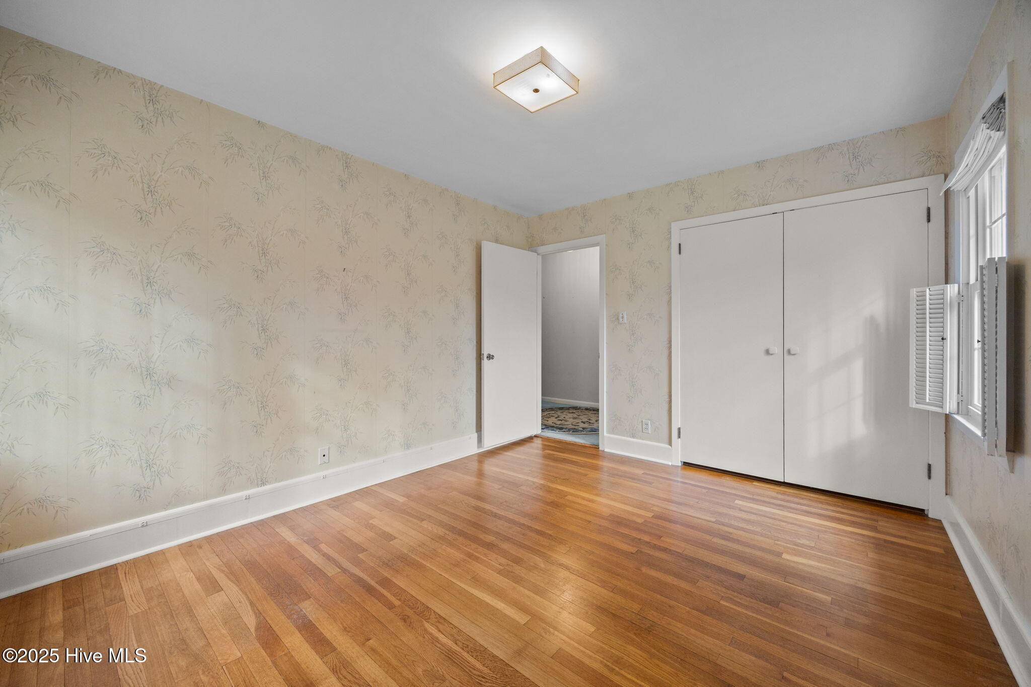 100544163 | Photo 24