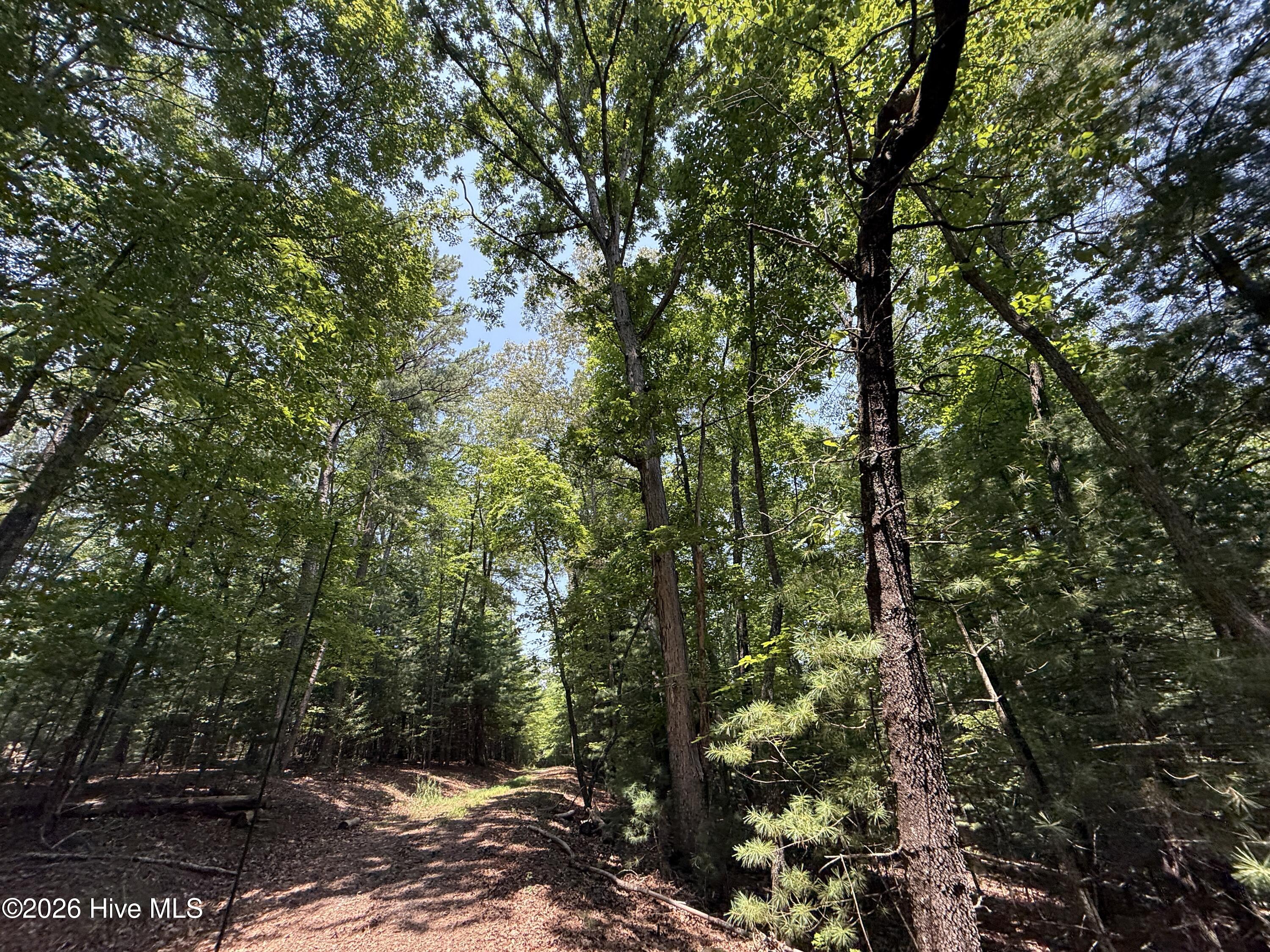 32nd image of 200 Avalon Crst, Murphy, NC 28906 | MLS# 100594043