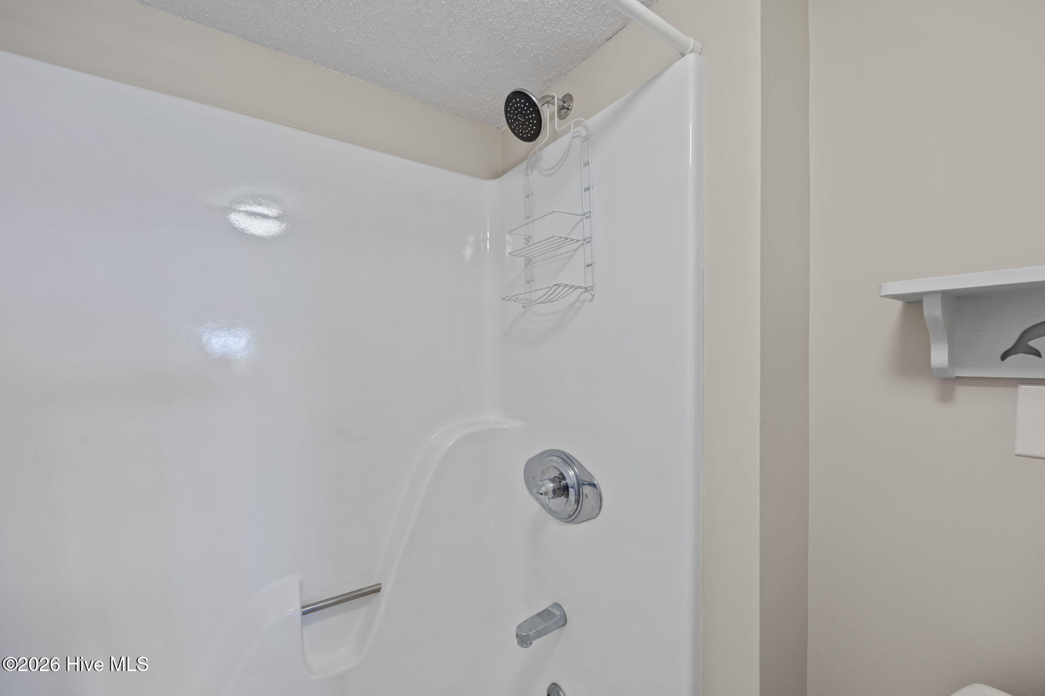 100565506 | Photo 19