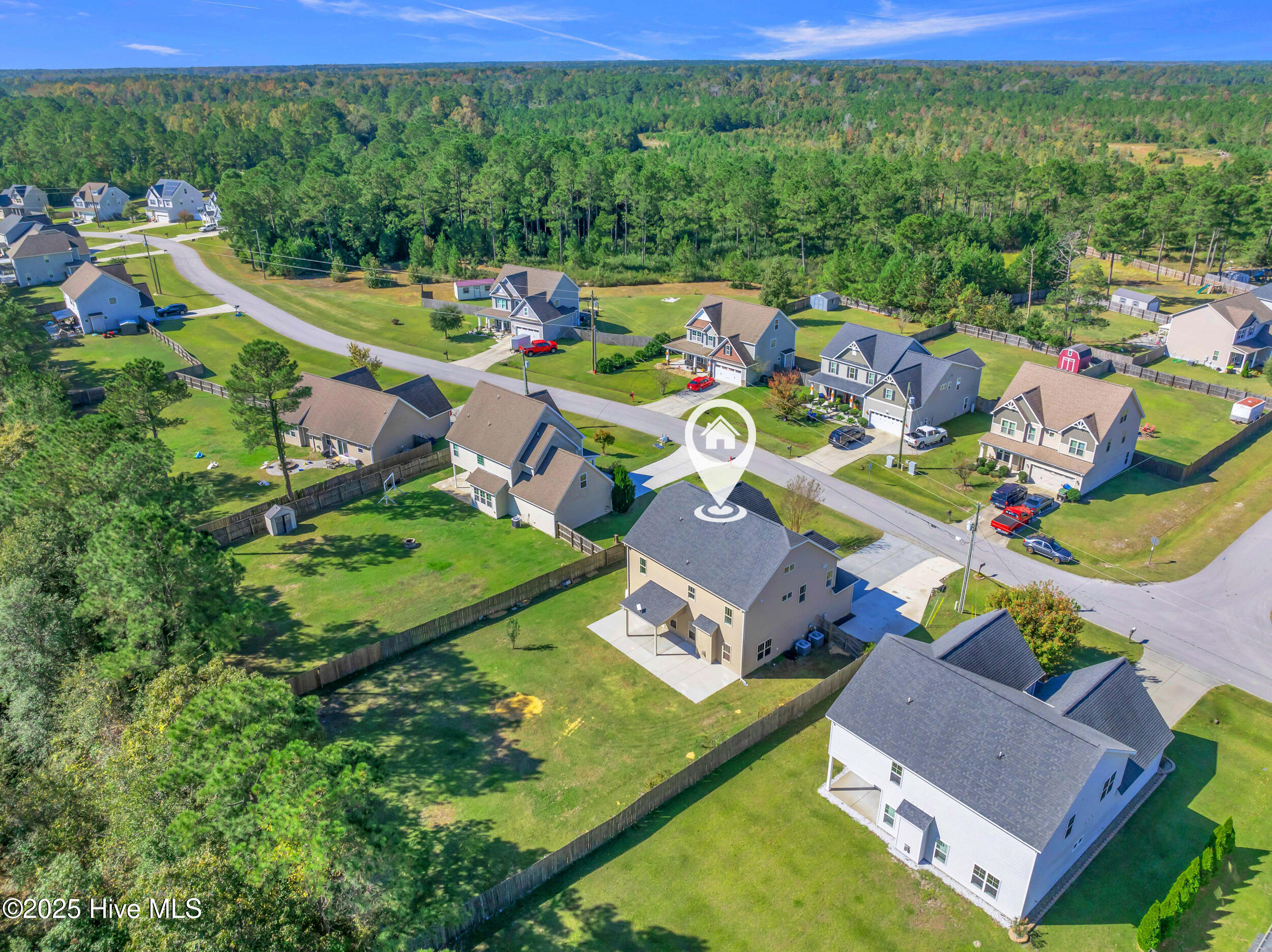 100538065 | Photo 54