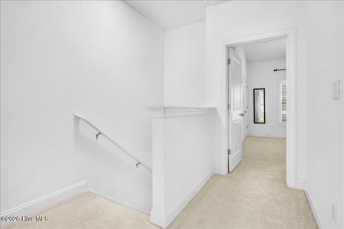 100567223 | Photo 18