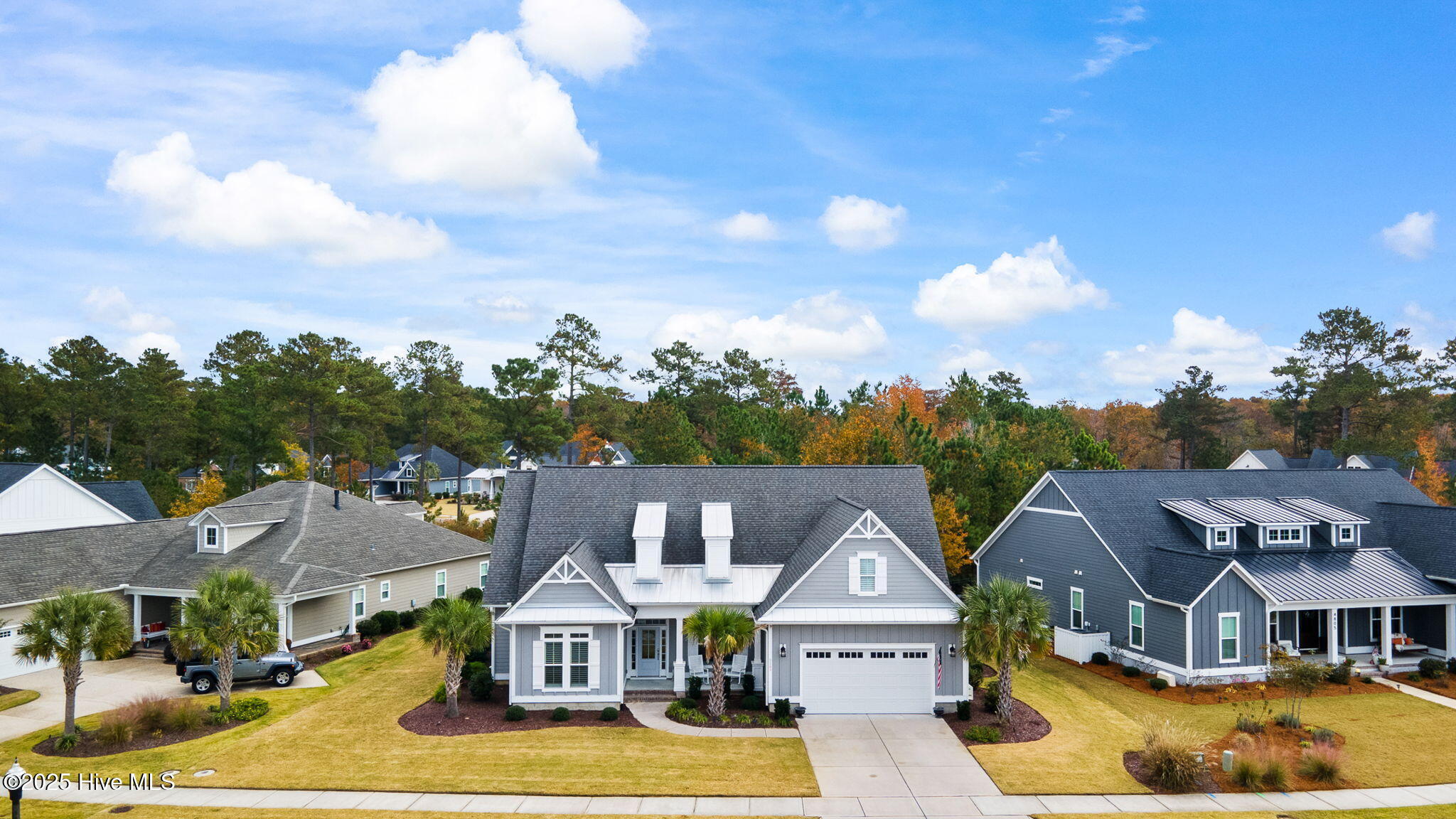 100541273 | Photo 46