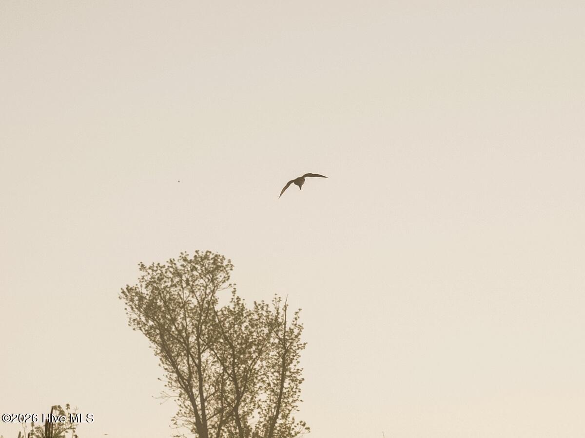 0 Durwood Evans Road, Beulaville, NC, 28518