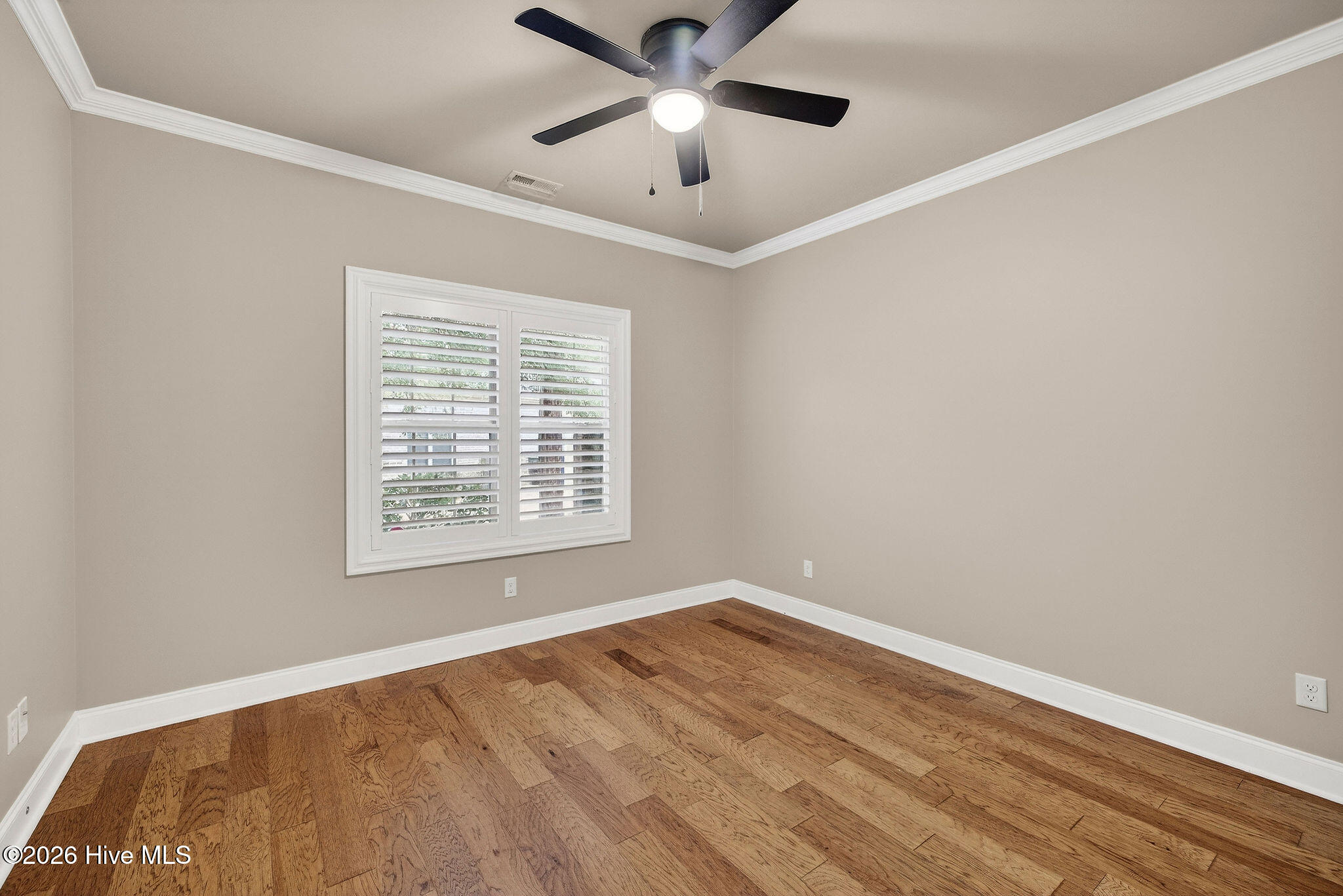 100557341 | Photo 22