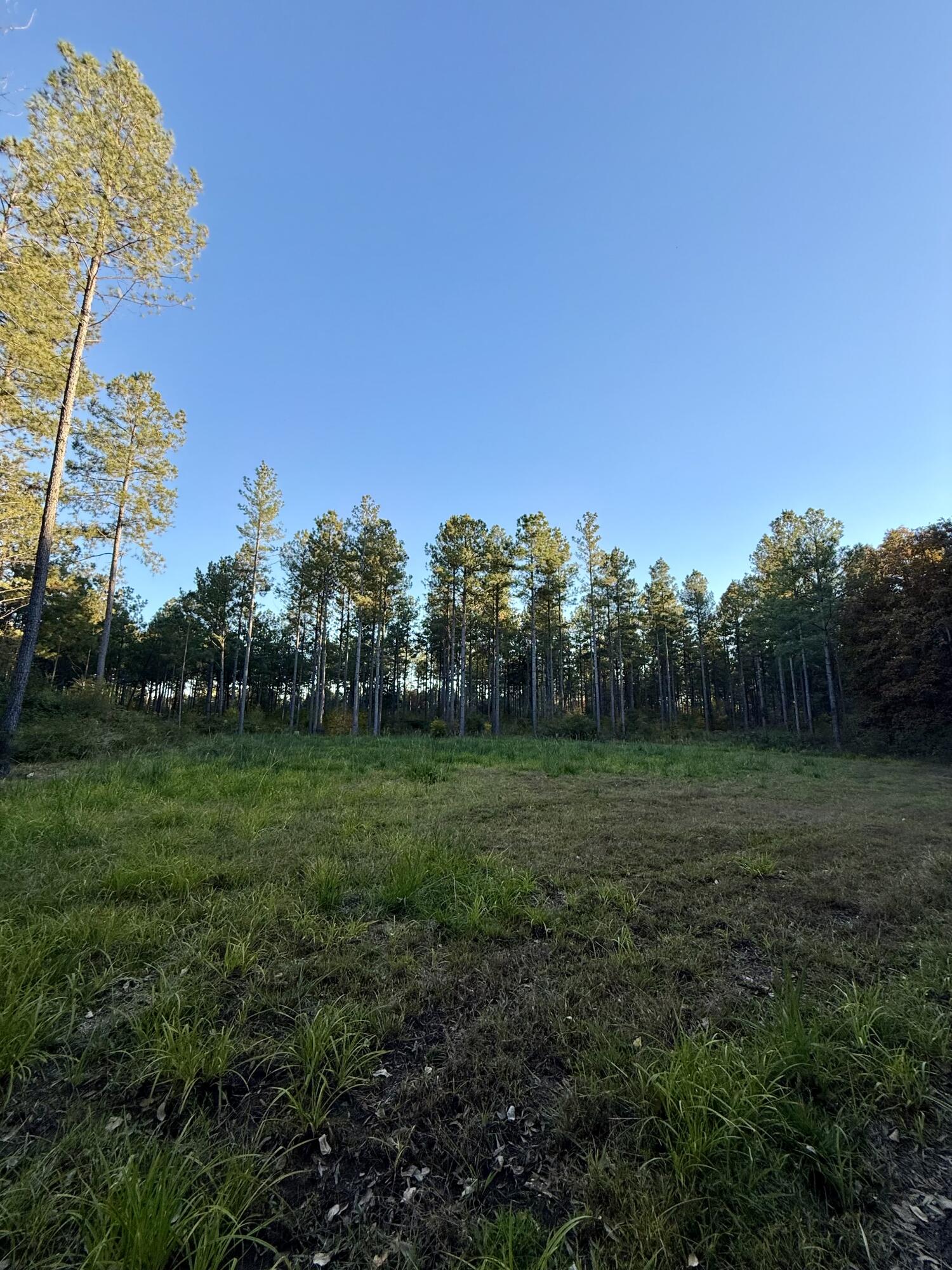 0 Joans Haven Drive, Newport, NC, 28570