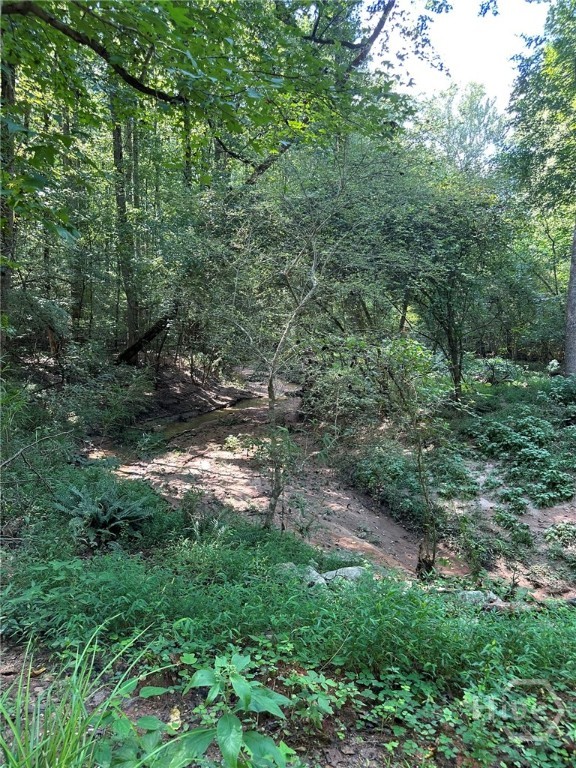 00 Fears, Madison, GA, 30650