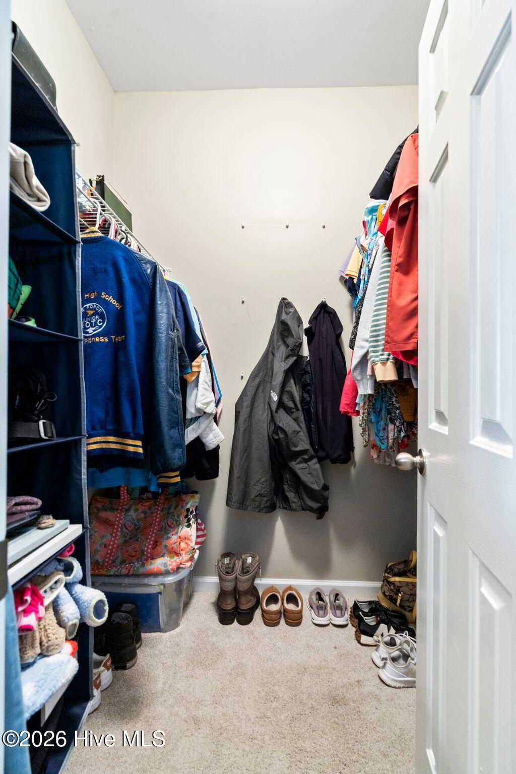 100553781 | Photo 16