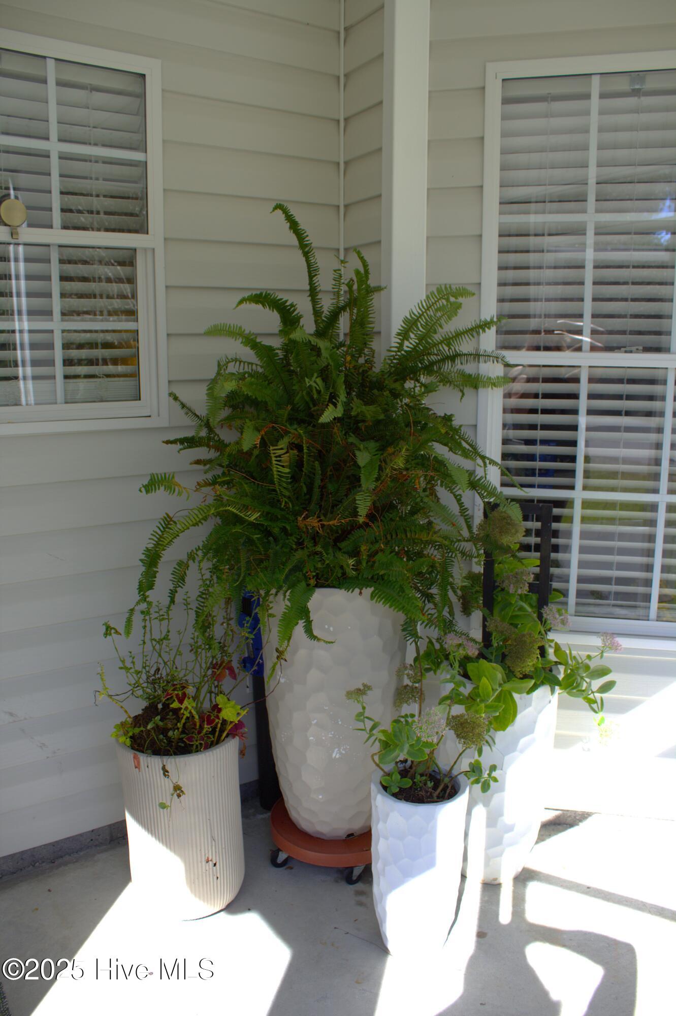 100538366 | Photo 19