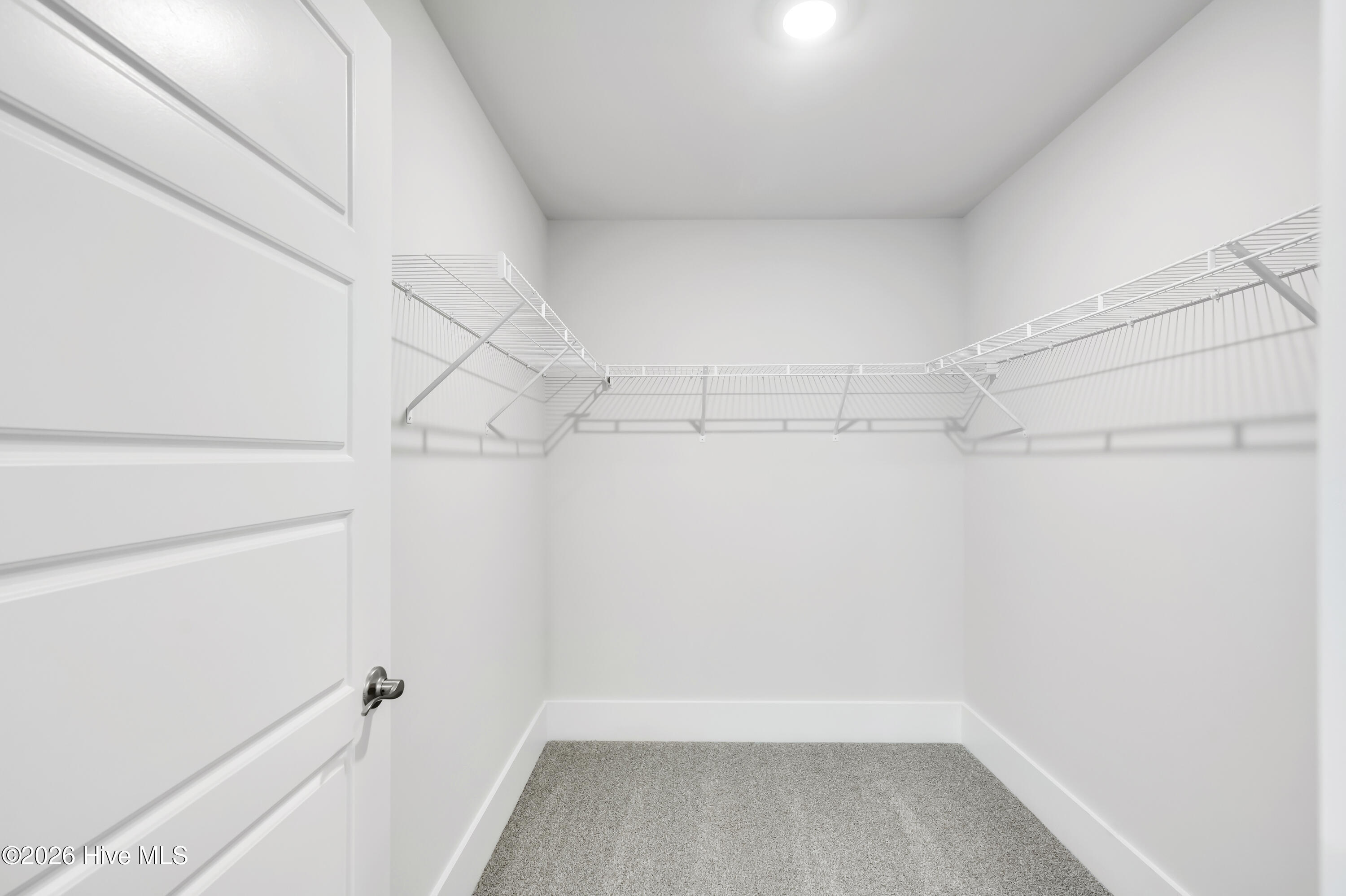 100557184 | Photo 19