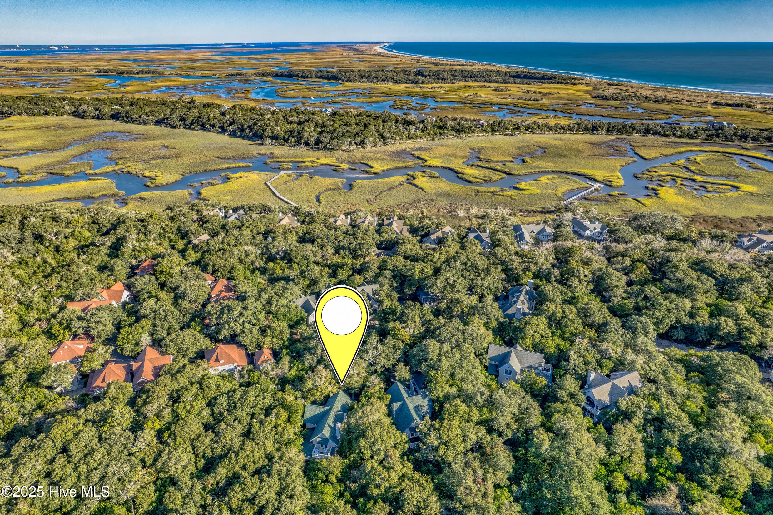 100530236 | Photo 69