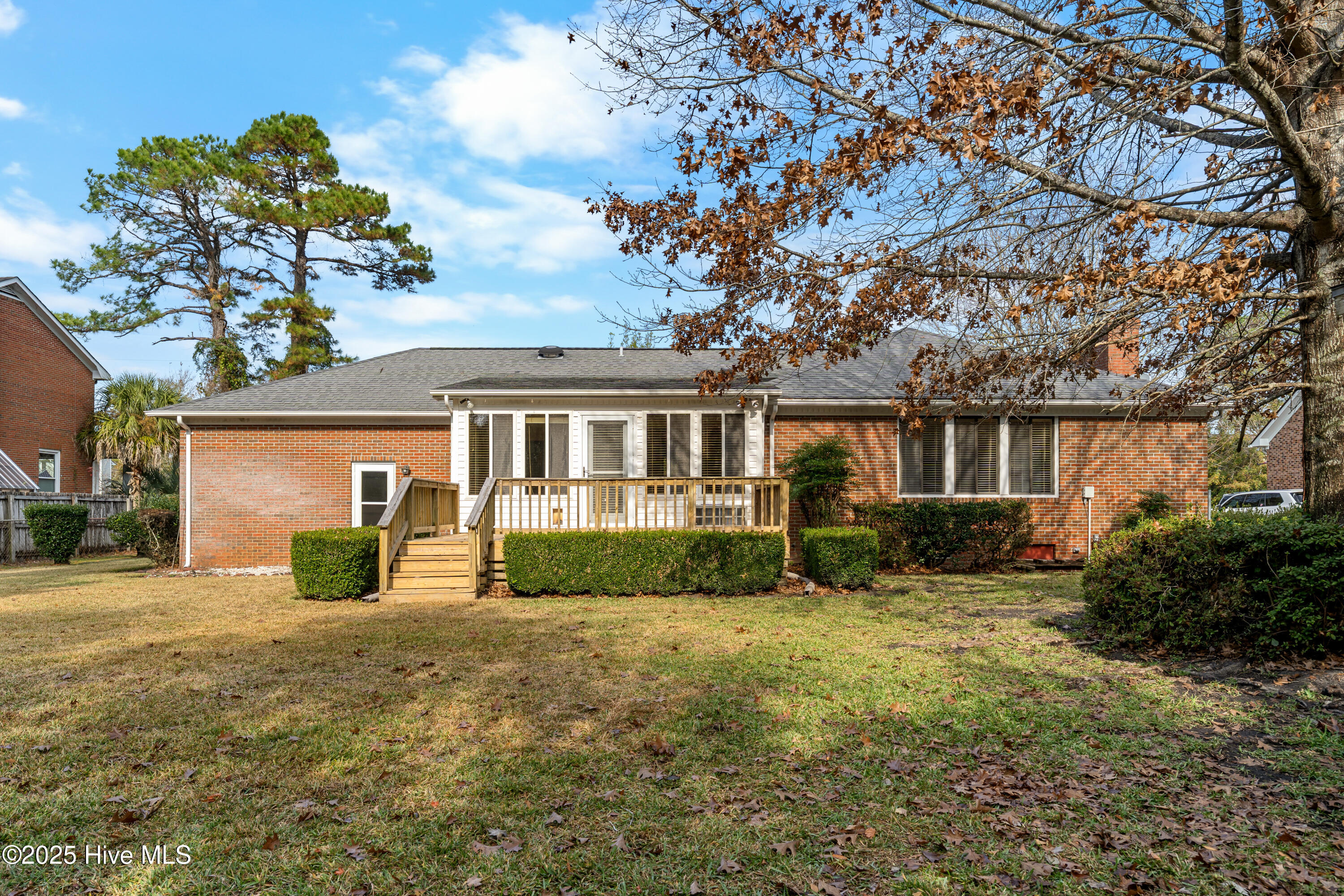 100542635 | Photo 66