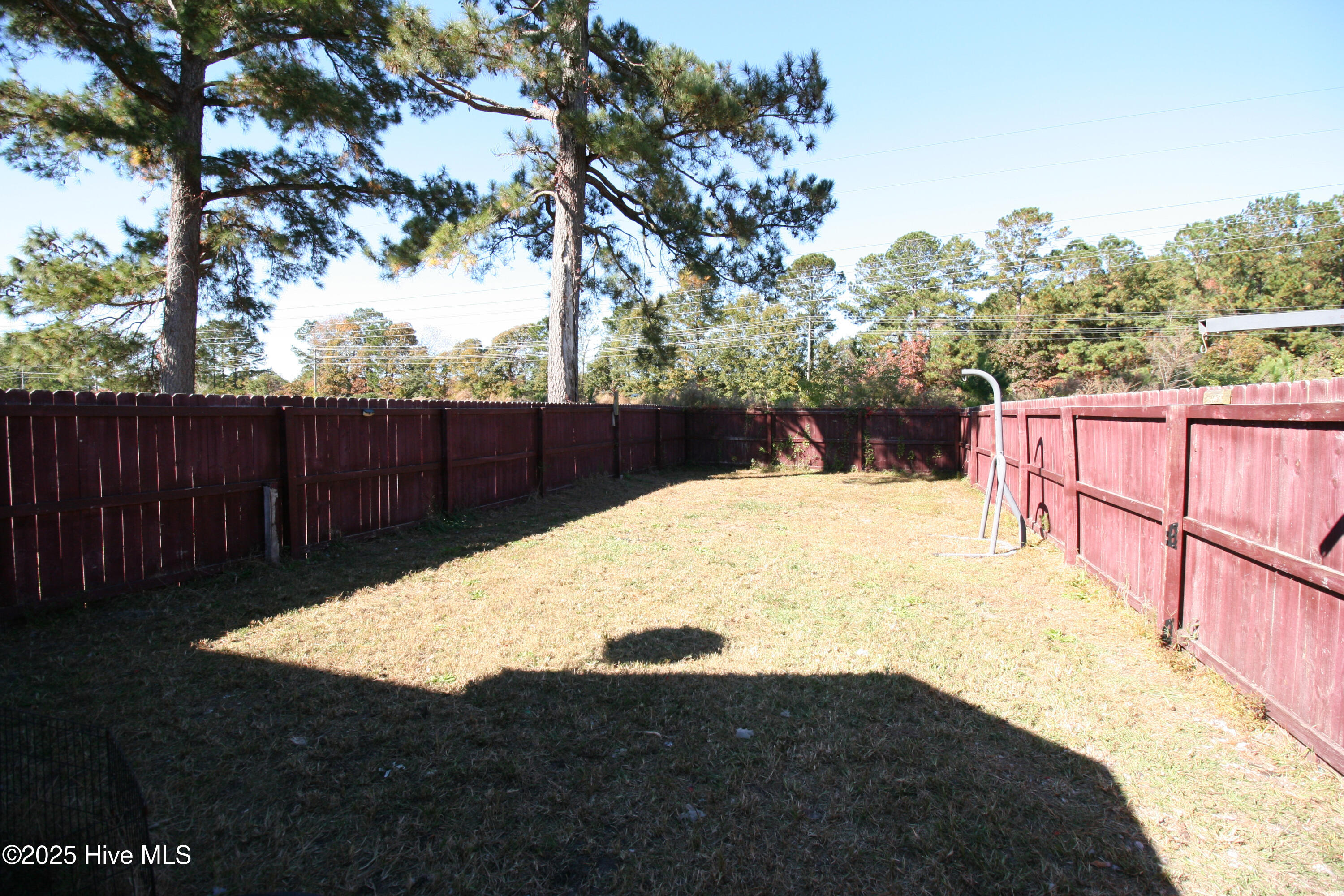 100540867 | Photo 17