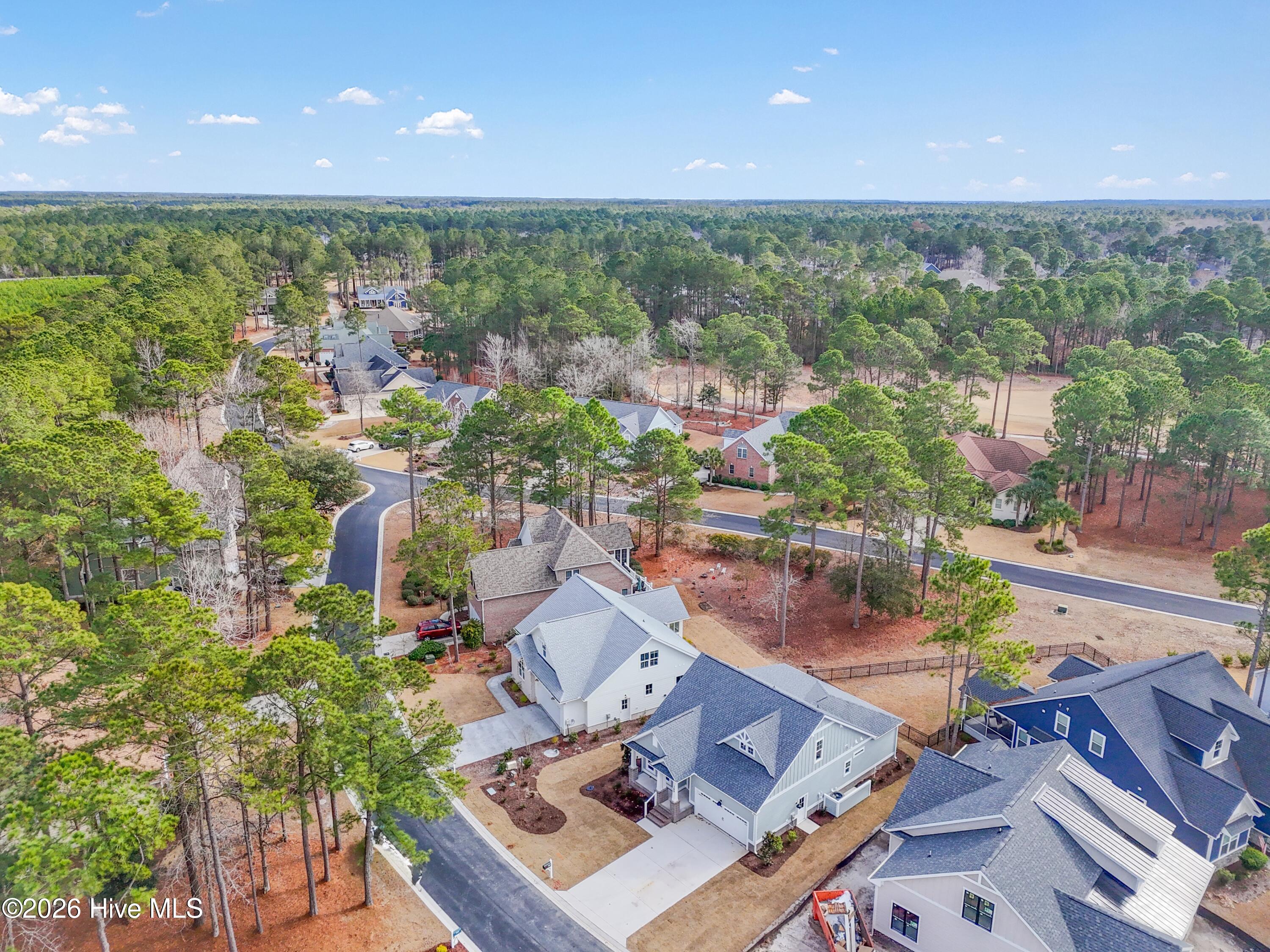 100533287 | Photo 38