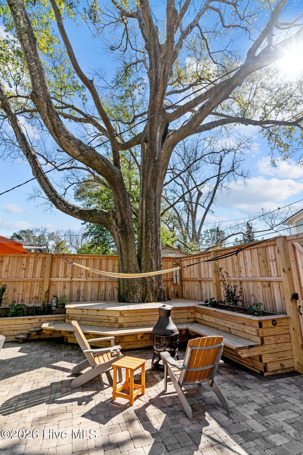 100557813 | Photo 50