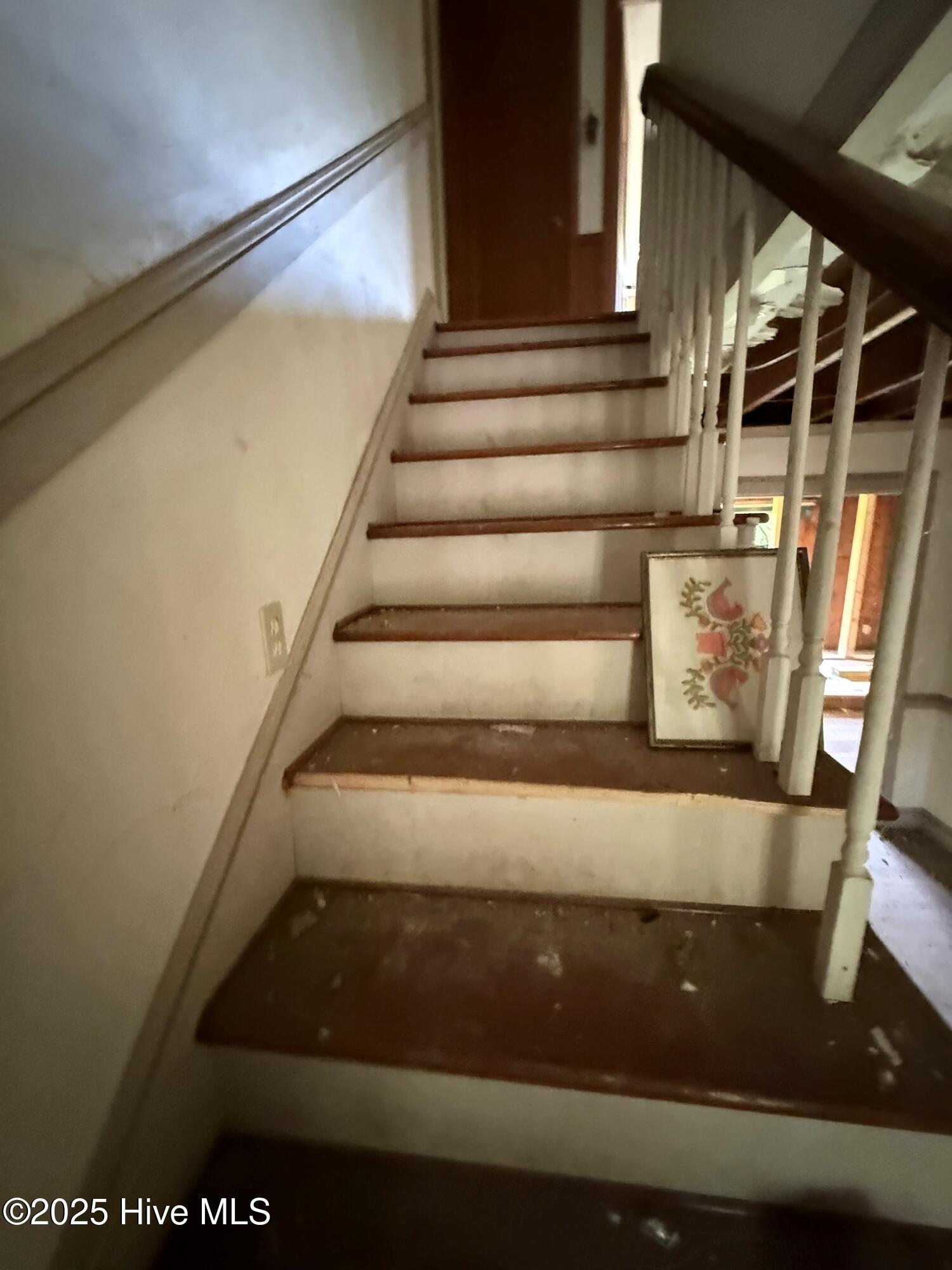 100538518 | Photo 31