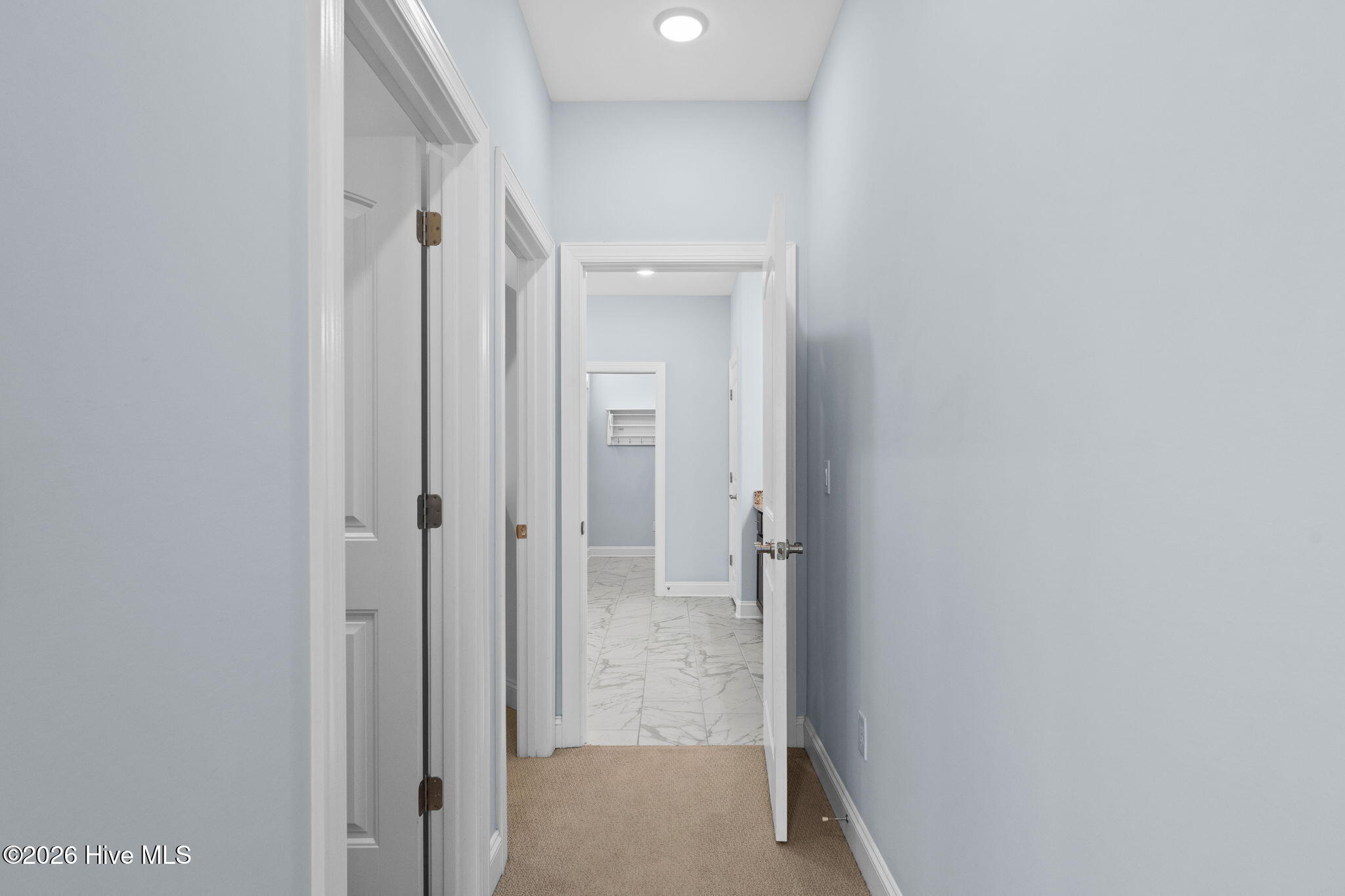 100563423 | Photo 33