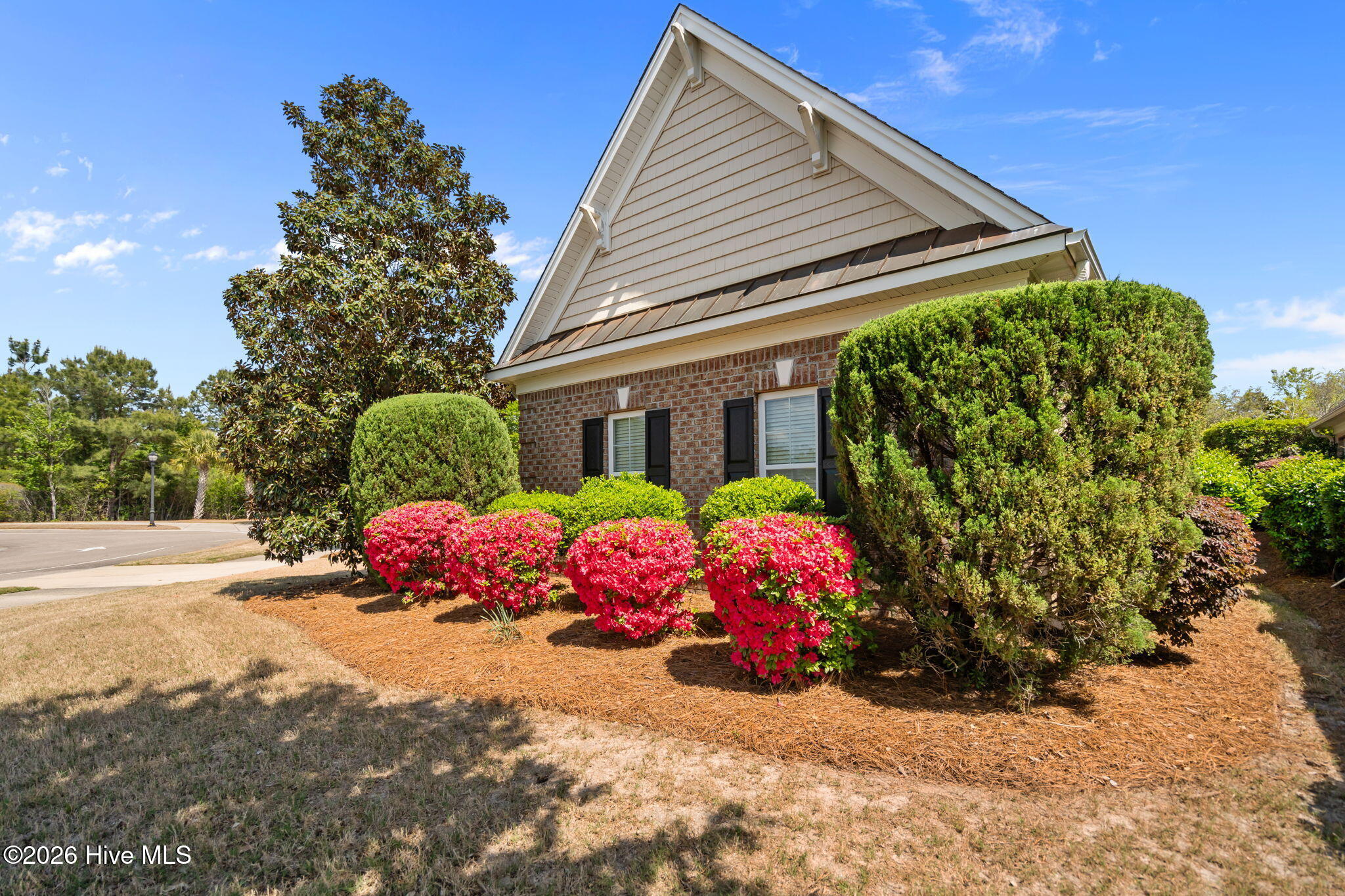 100568496 | Photo 51