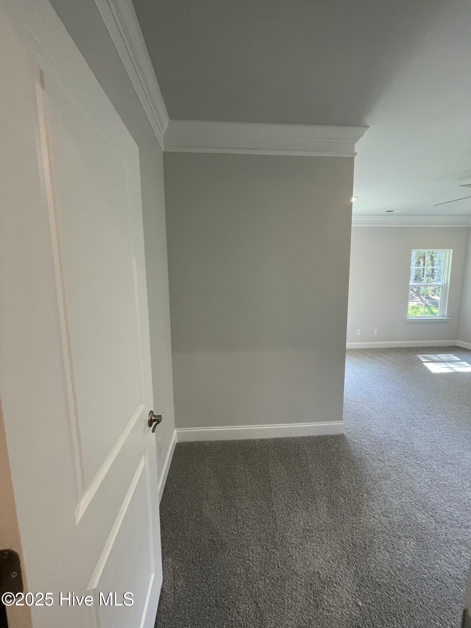 100522611 | Photo 41