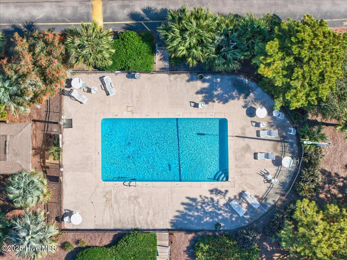 100540886 | Photo 34