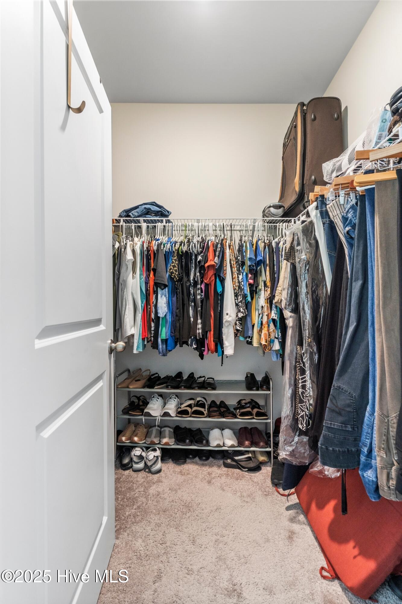 100531826 | Photo 37