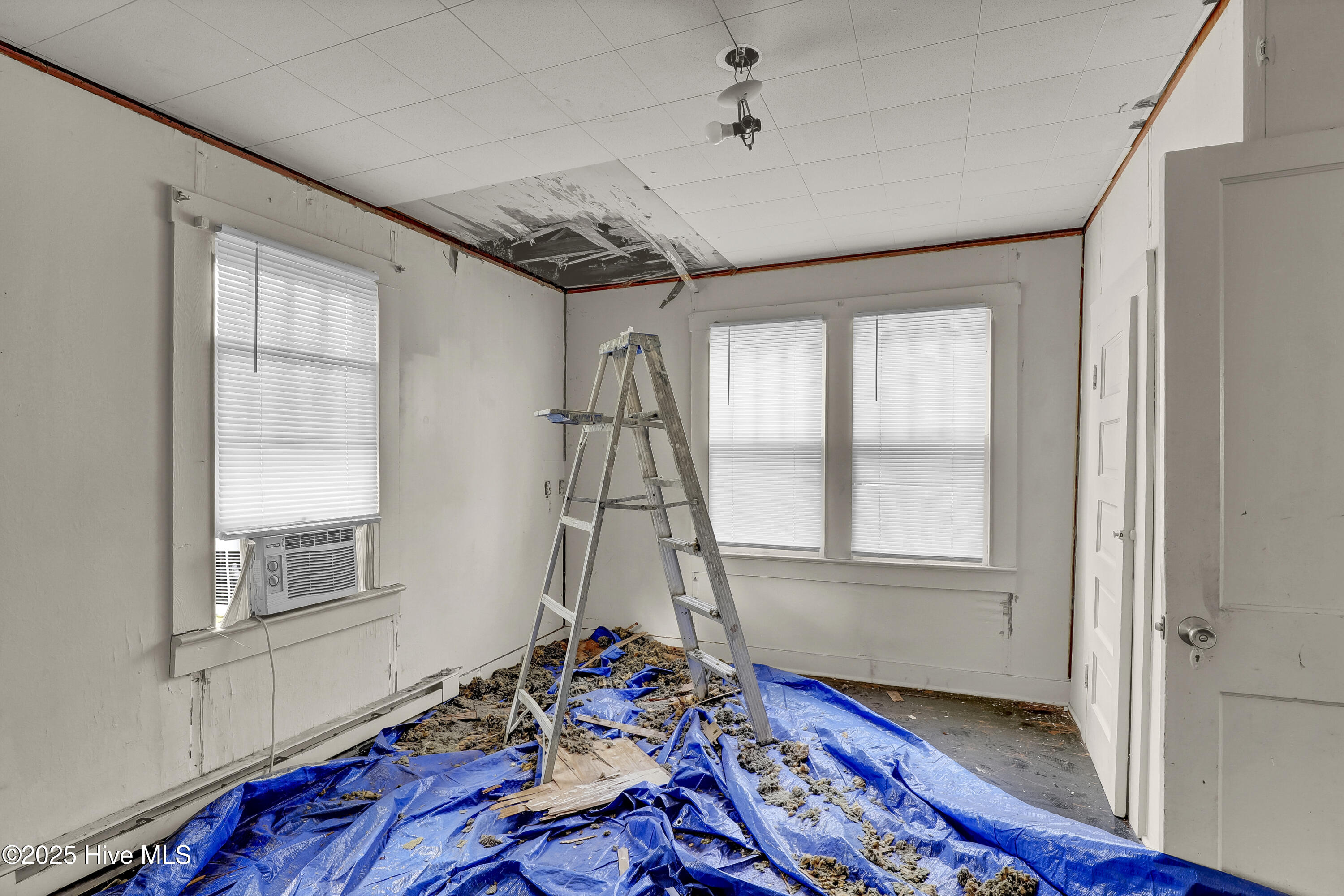 100514689 | Photo 10