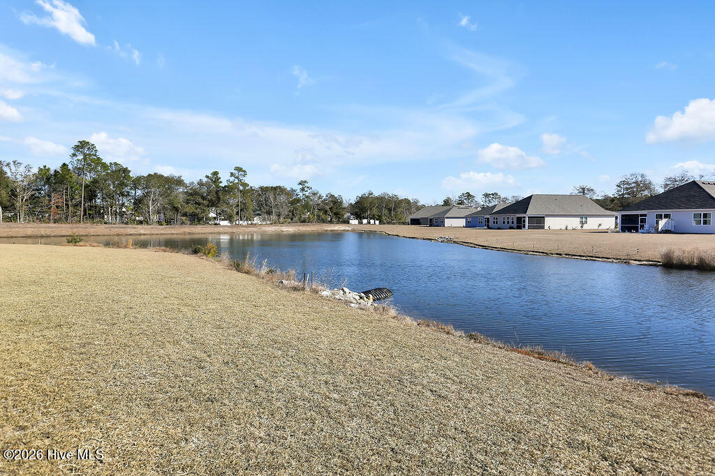 100556486 | Photo 30