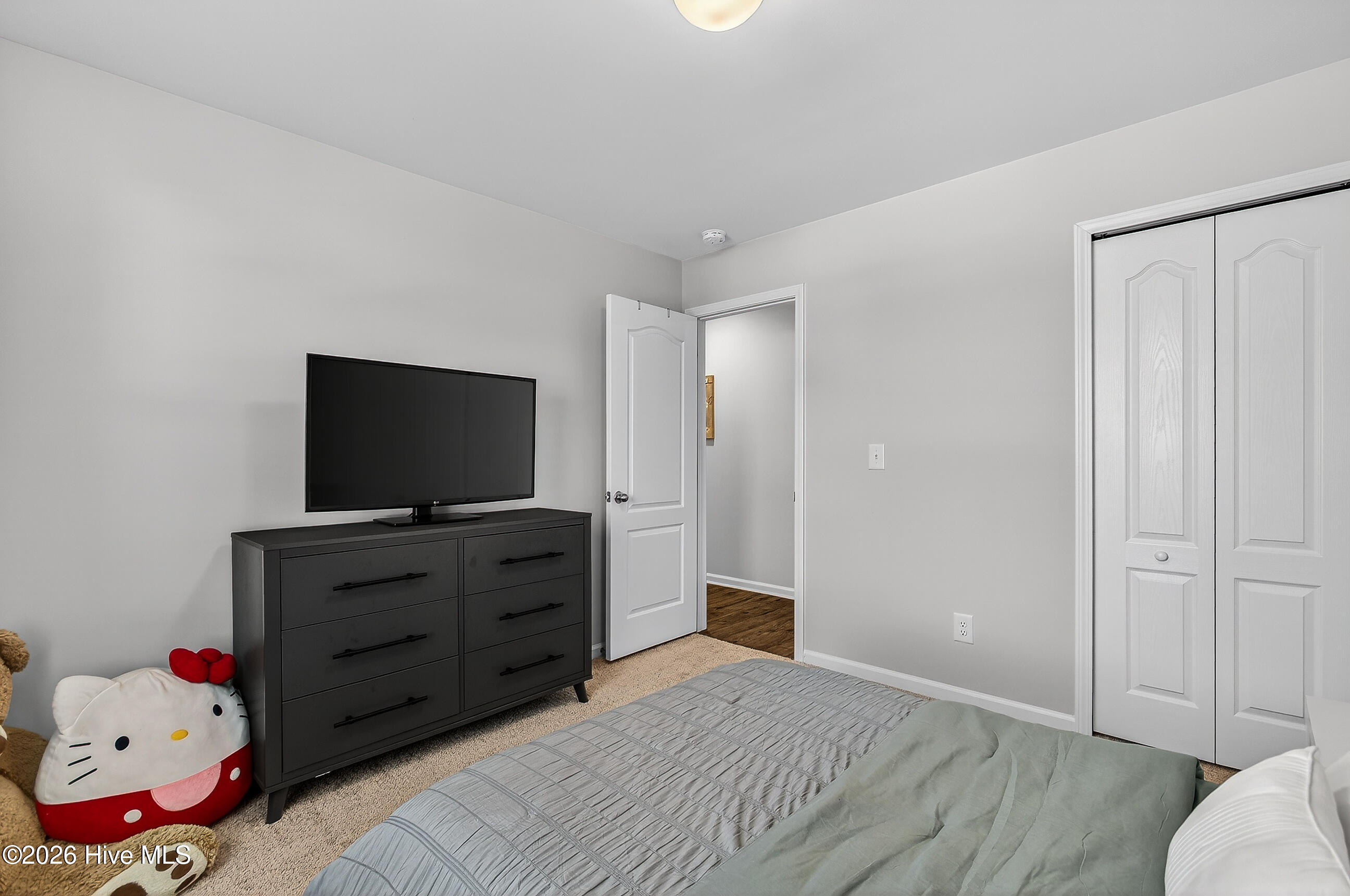 100555689 | Photo 30