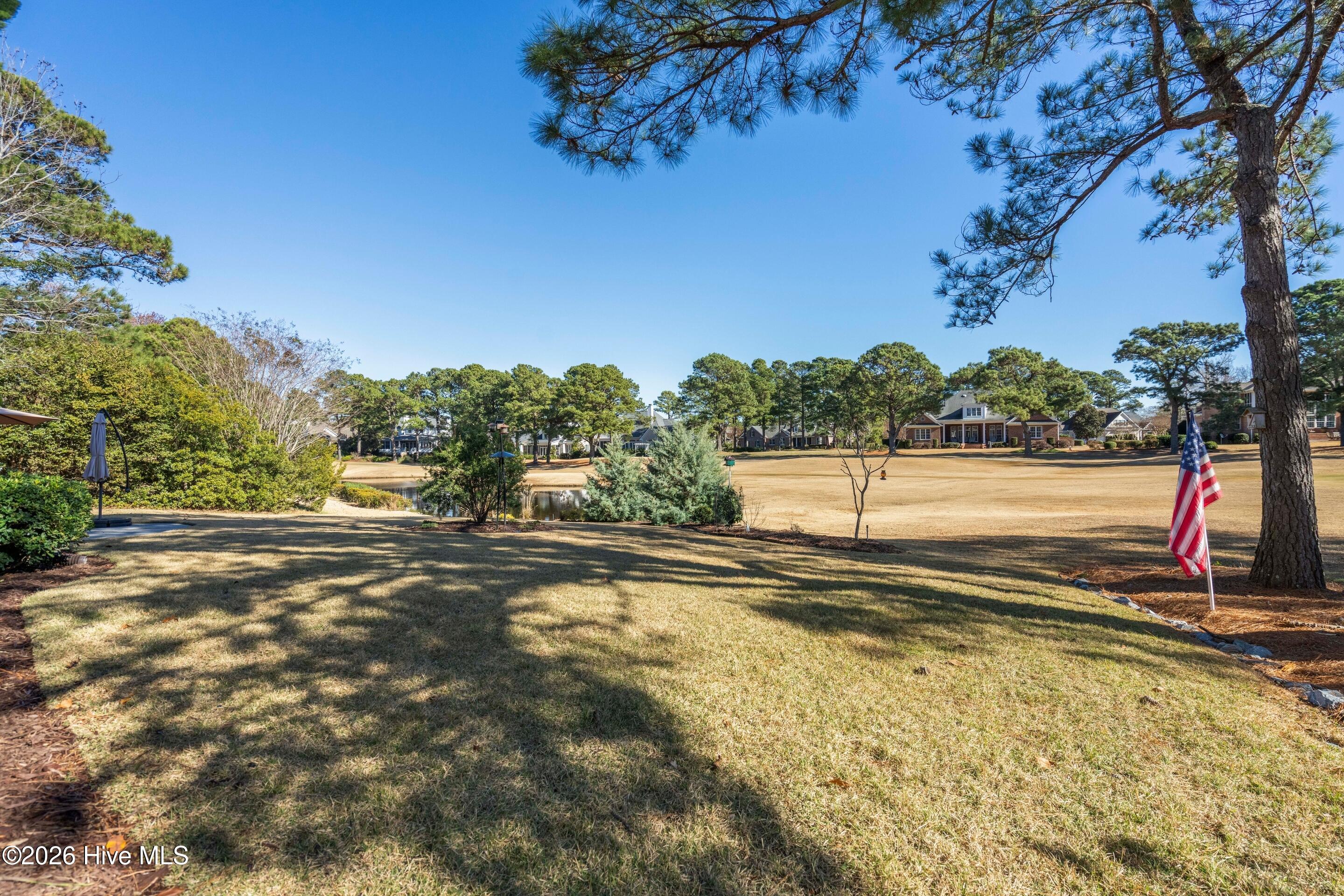 100548933 | Photo 63