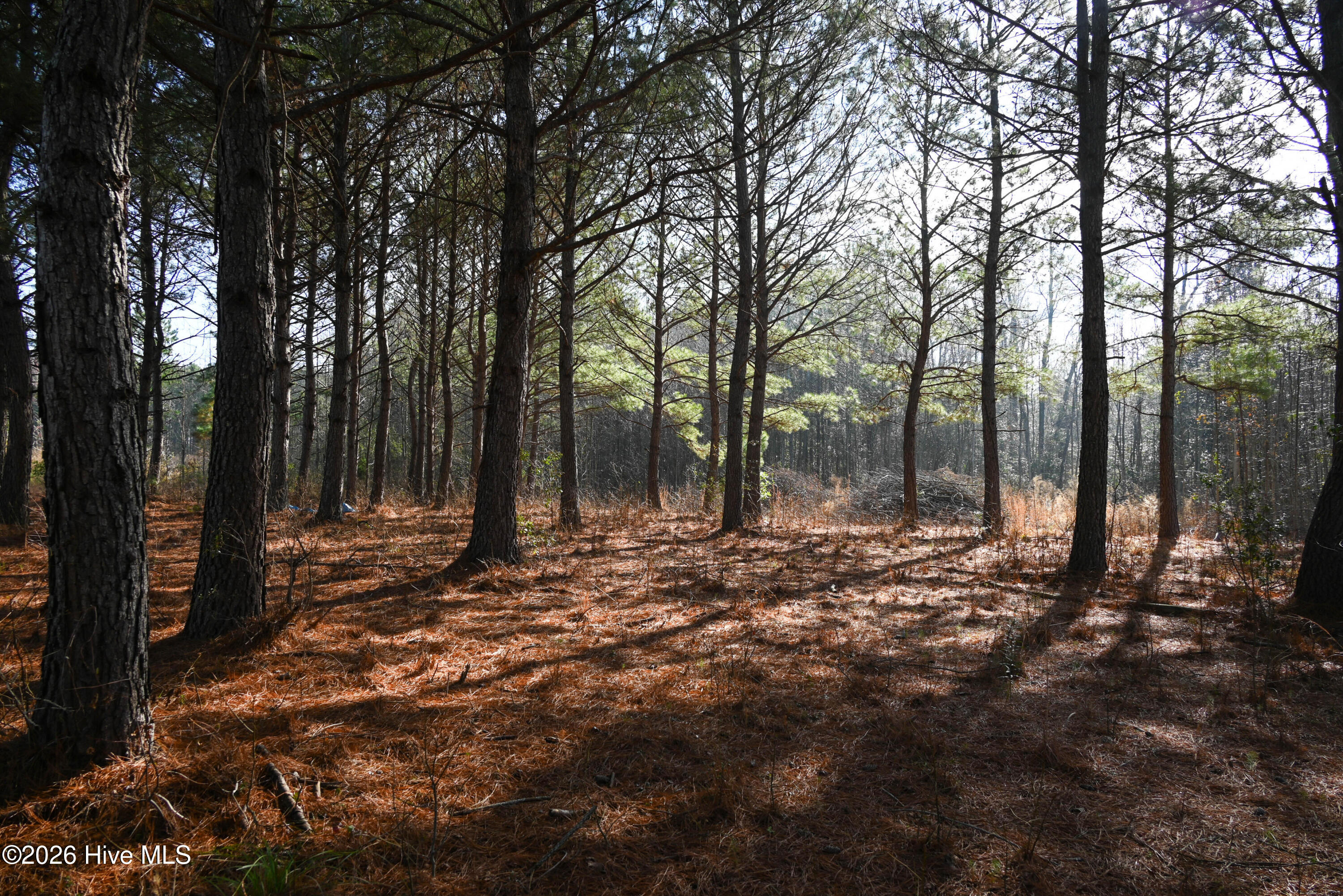 100560038 | Photo 19