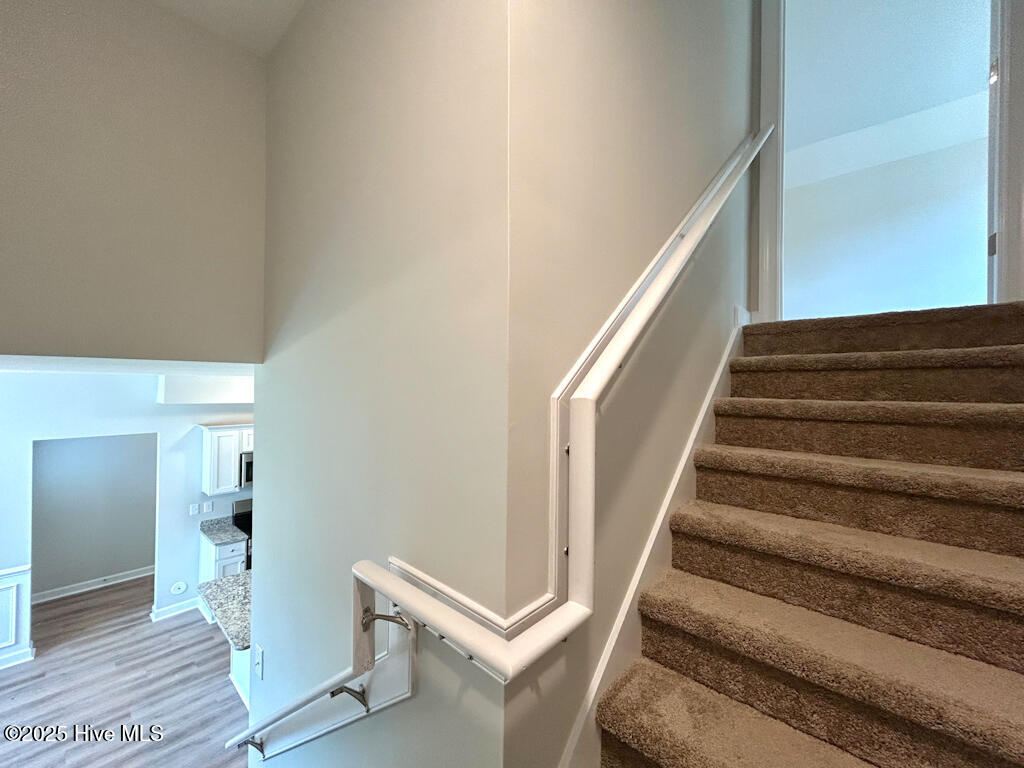 100513411 | Photo 50