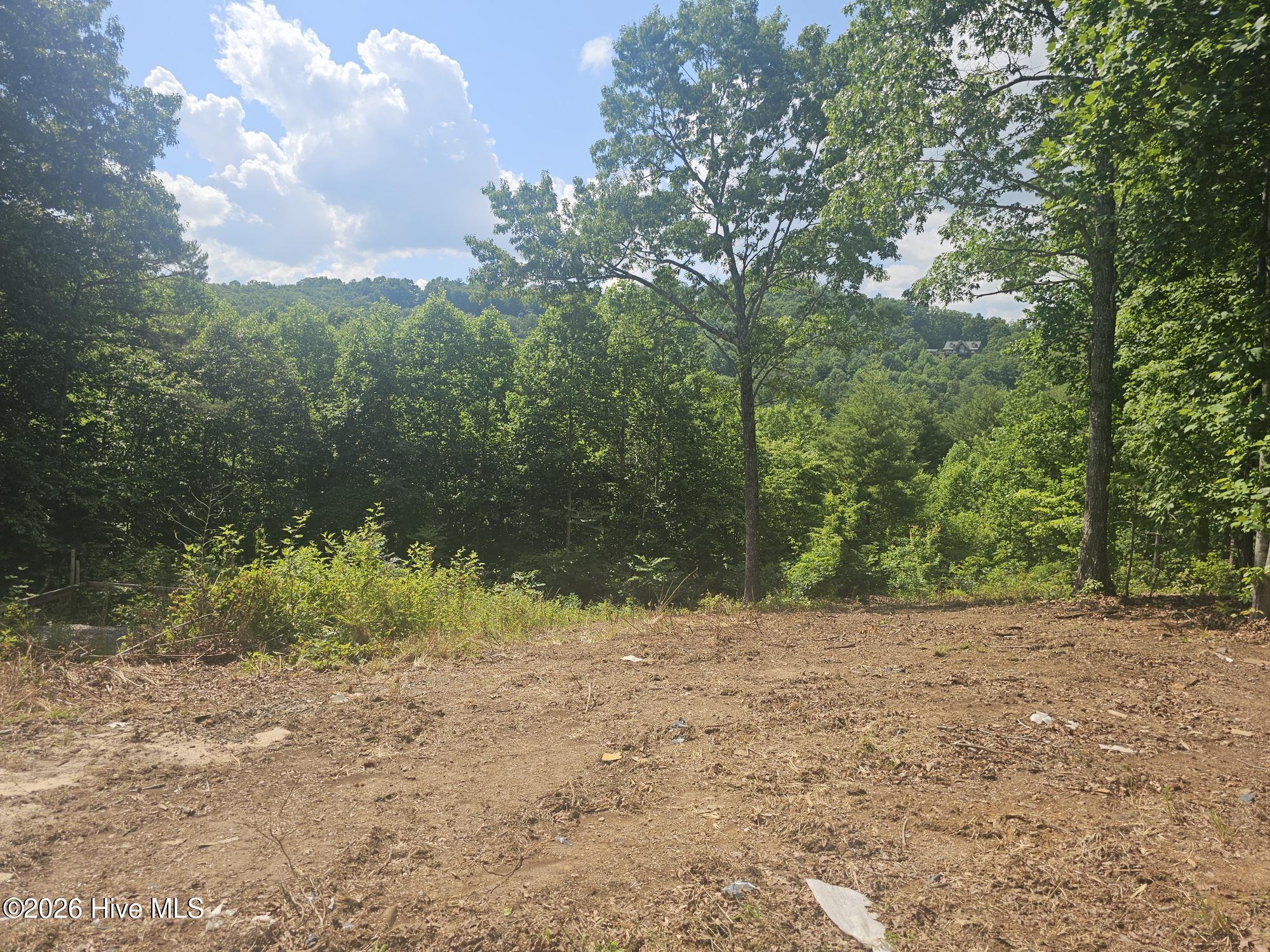 Listing Photo 100580760