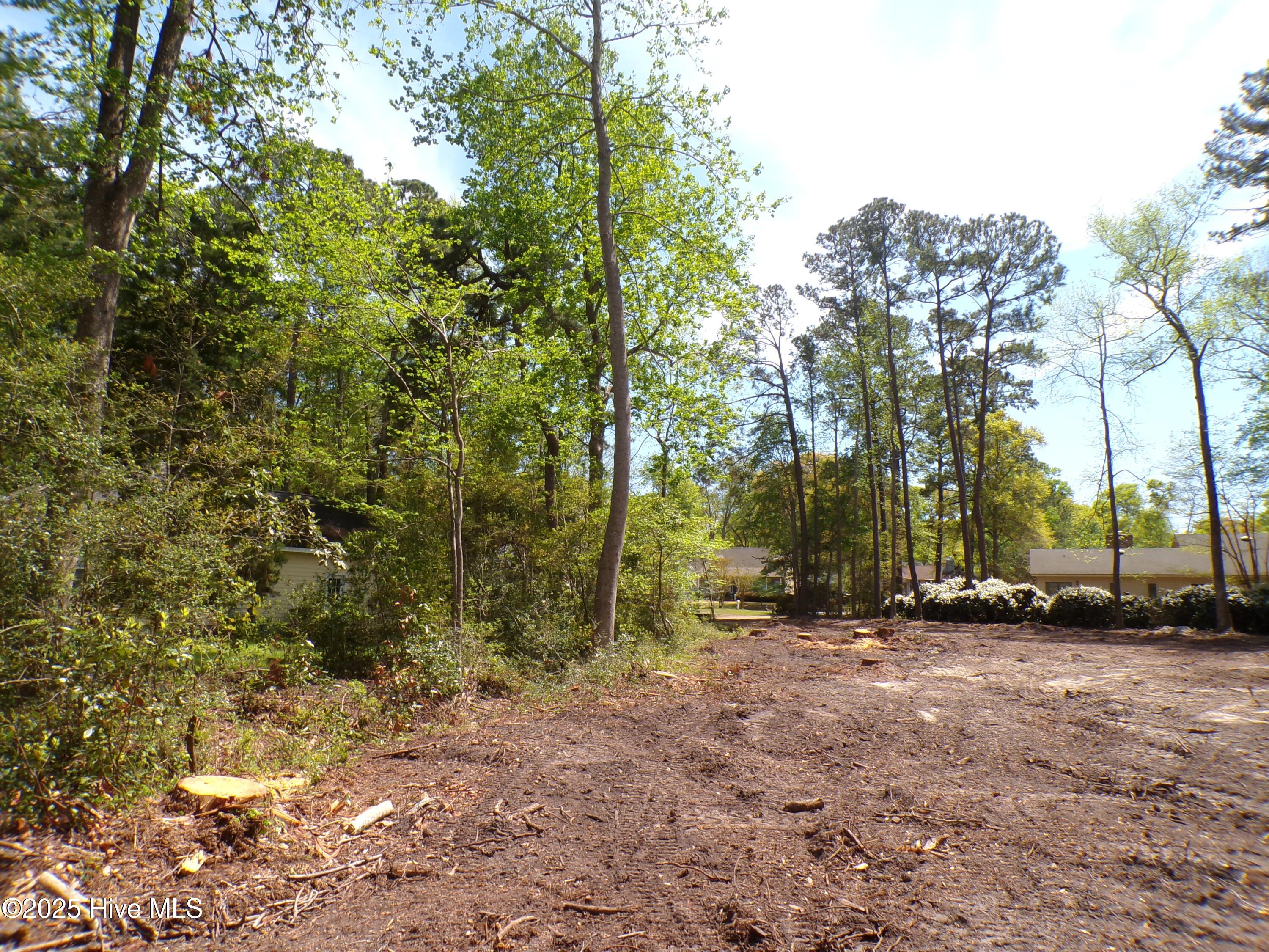 100499822 | Photo 22