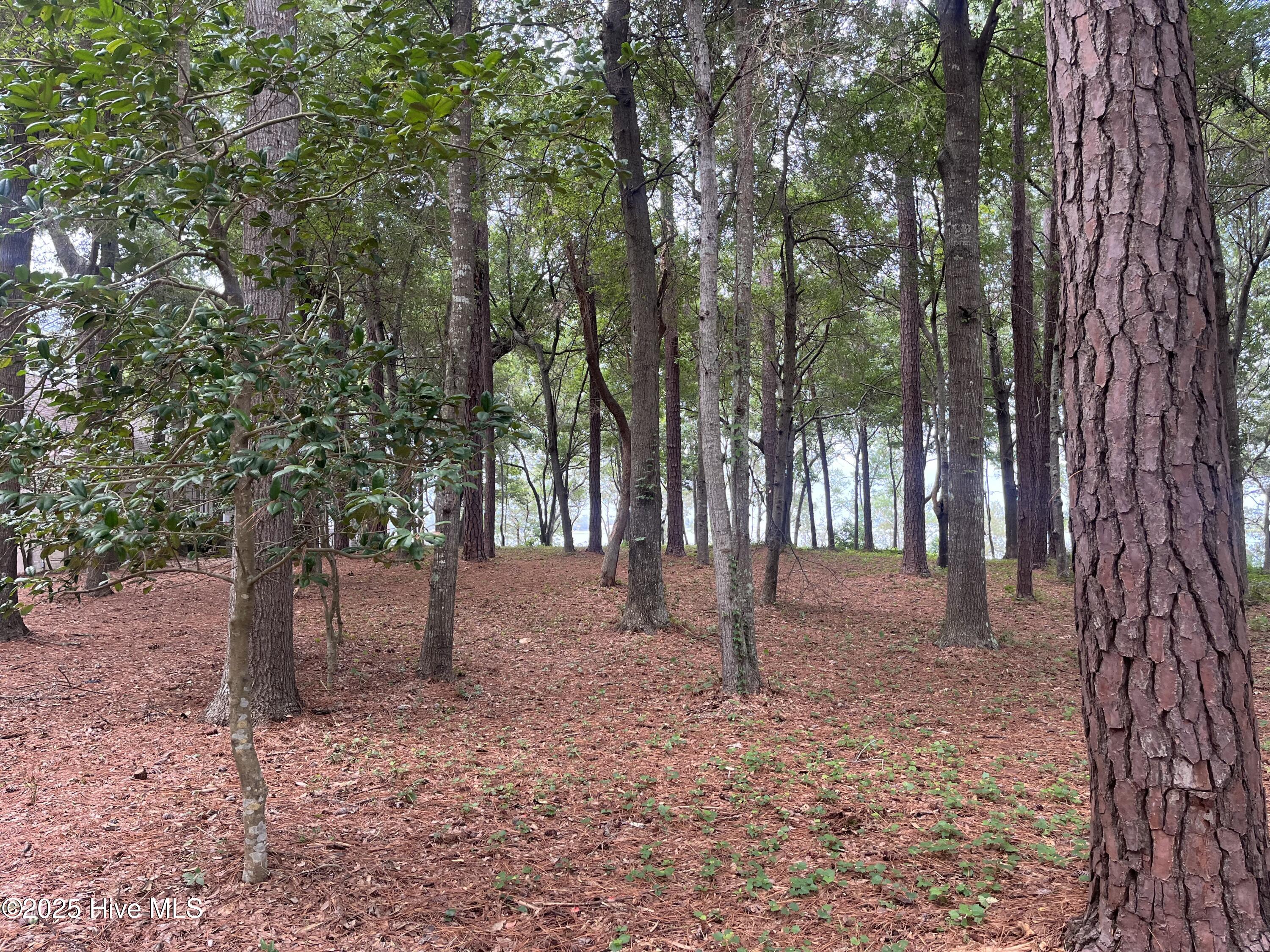 100525260 | Photo 11