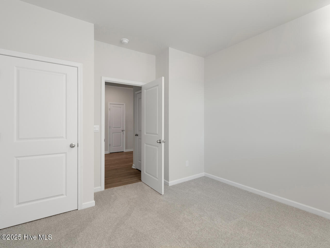 100562093 | Photo 23