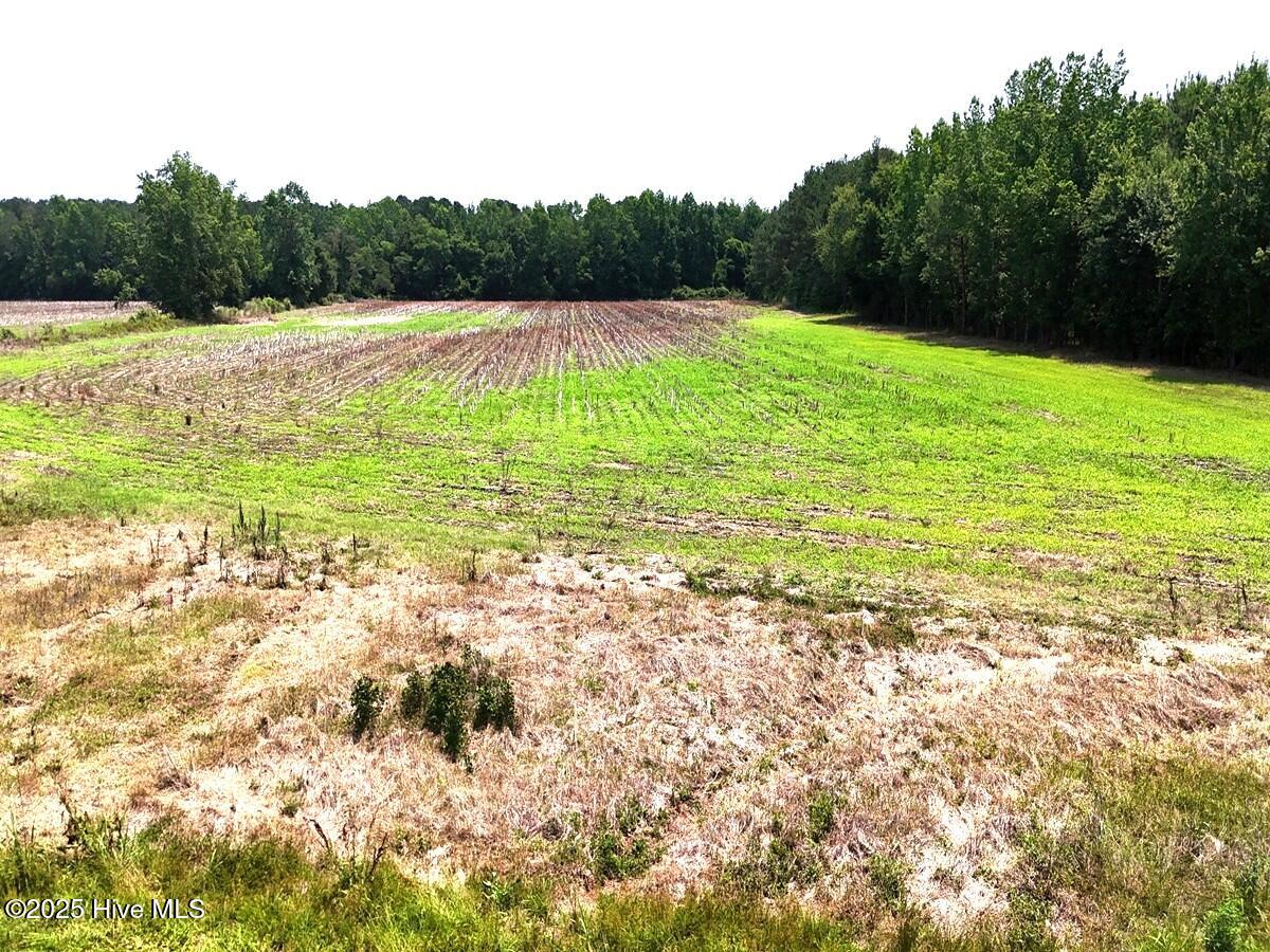 100511936 | Photo 17