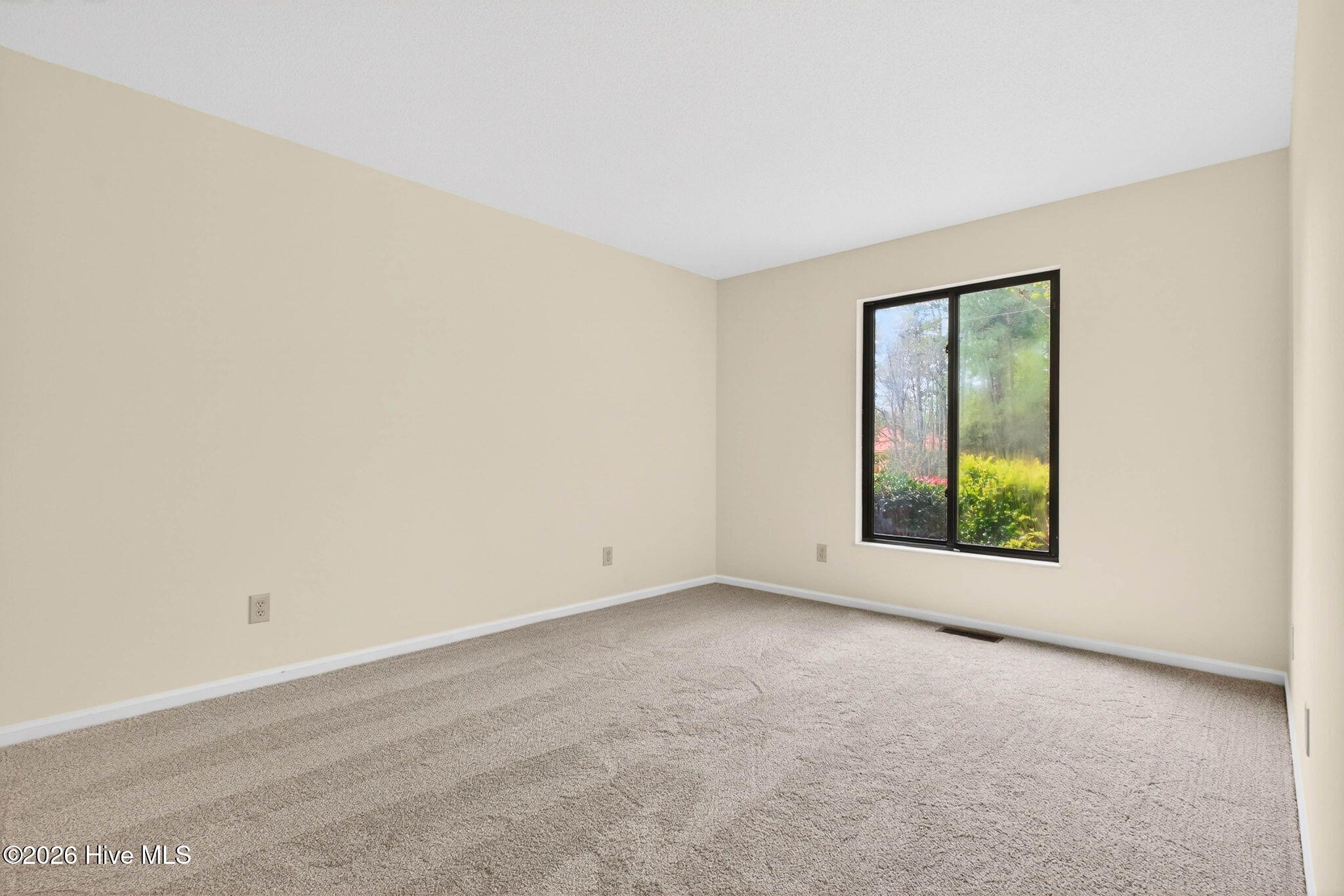 100564646 | Photo 20