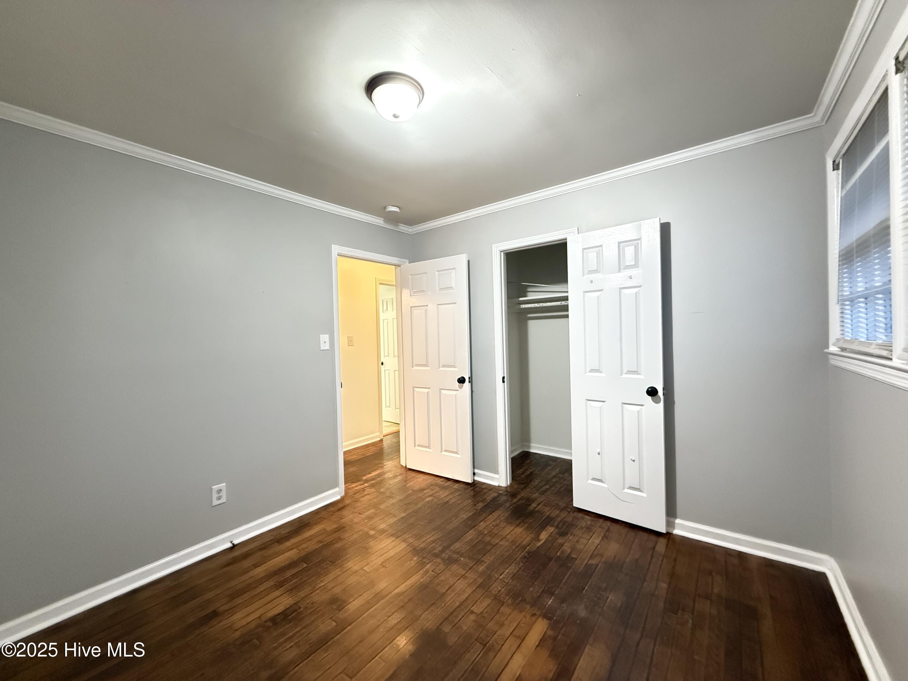 100537874 | Photo 17