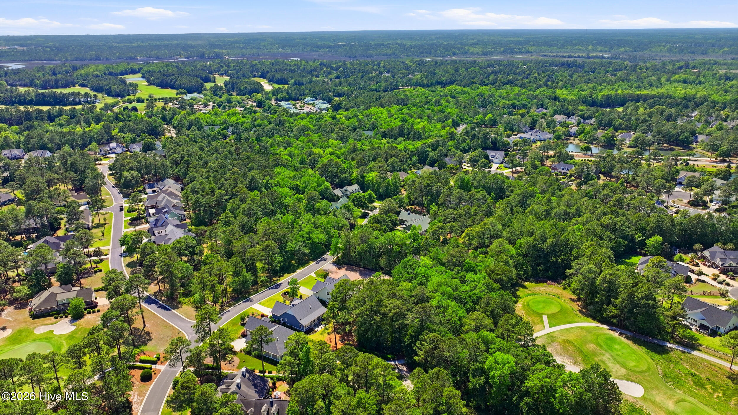 100570003 | Photo 16