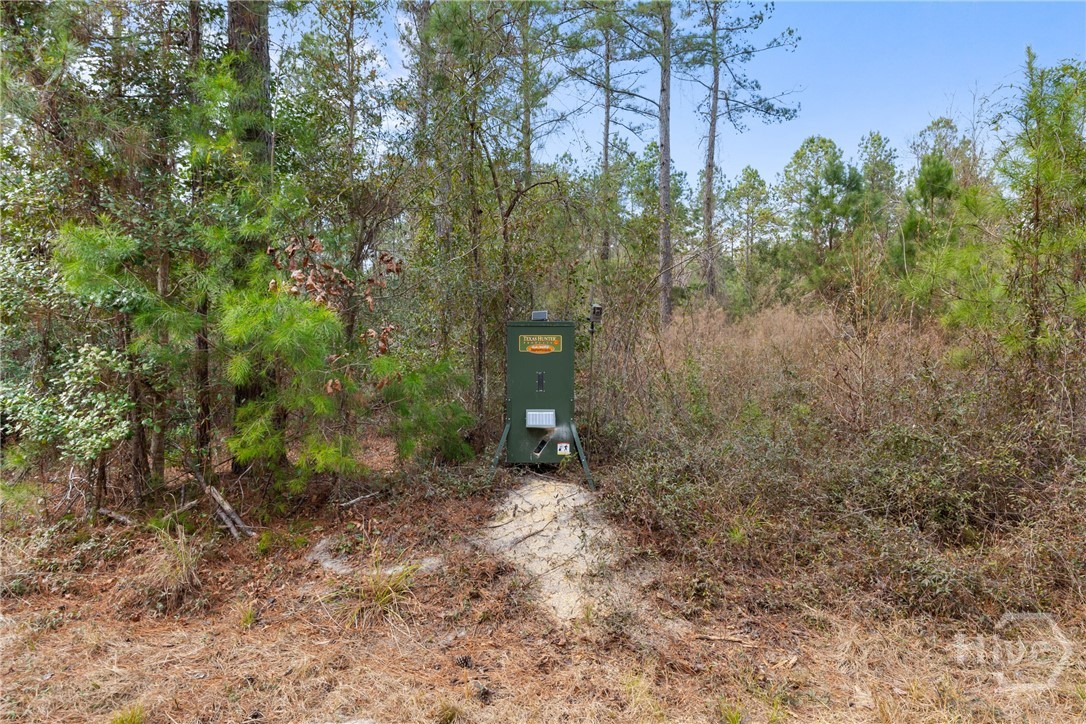 1000 Old River Road S, Brooklet, GA, 30415